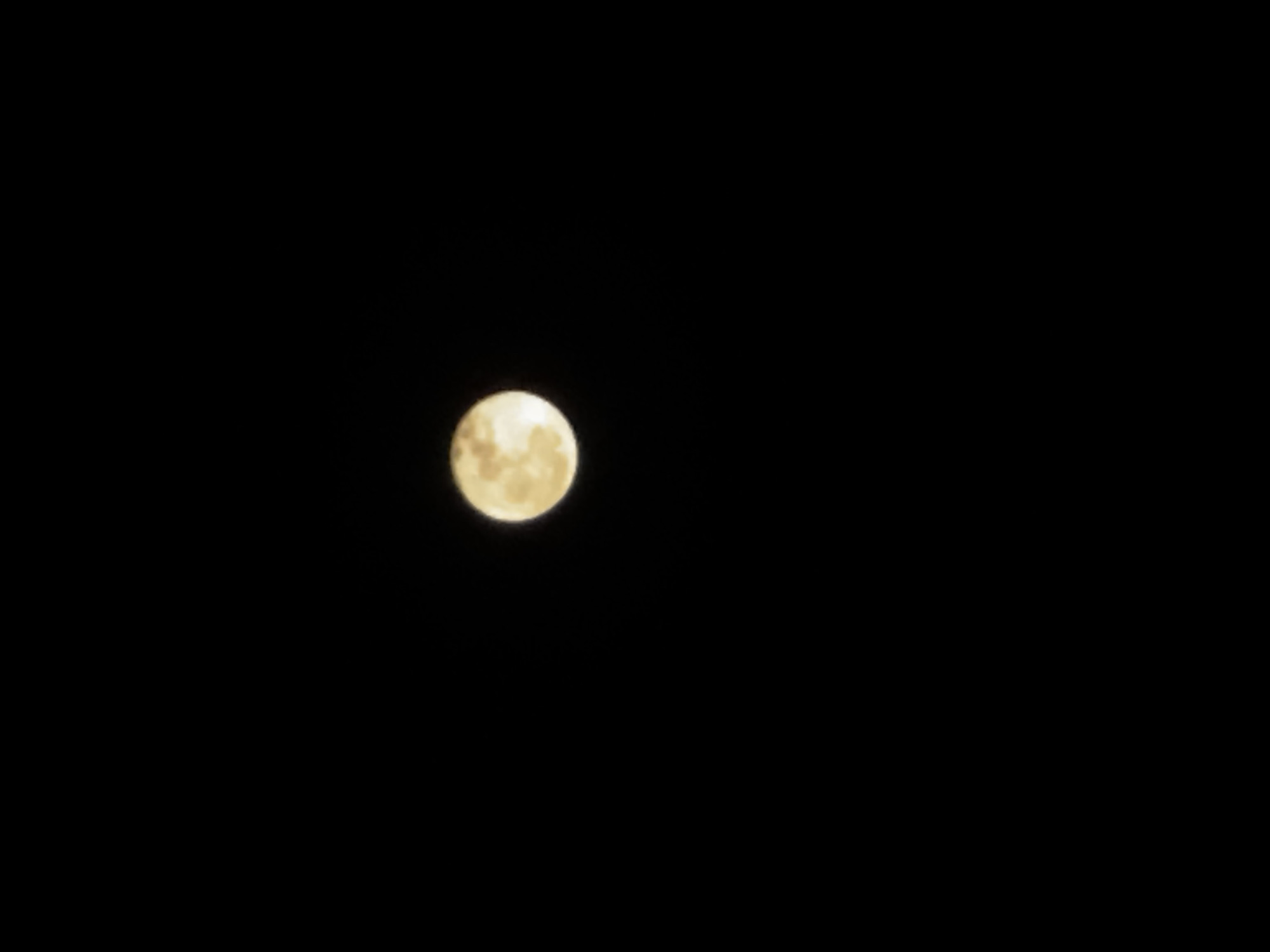 A full moon is visible in the center of the frame against a black background. The location is not discernible from the image.