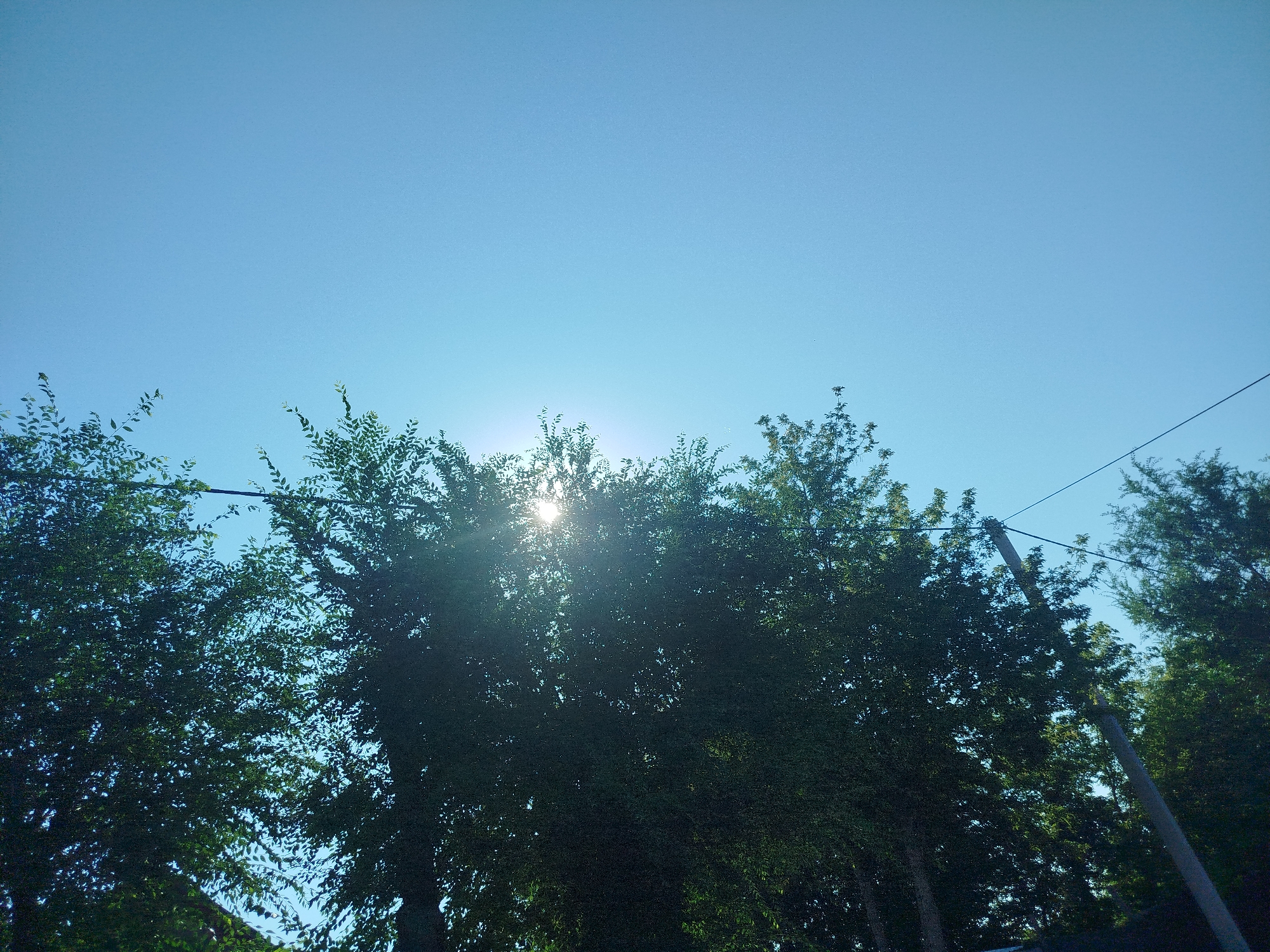 The image shows a view looking up at a clear blue sky, with the tops of trees silhouetted against it. The sun is visible, peeking through the leaves of a large tree in the center of the frame, creating a sunburst effect. A power line runs diagonally across the upper right portion of the image. A utility pole is also visible on the right side, extending upwards through the trees. The overall impression is of a sunny day, with lush green foliage. The scene appears to be an outdoor environment, possibly a park or residential area within the city of Qarağandı city administration, Kazakhstan, characterized by the presence of trees and utility infrastructure. There are no people or discernible human activity in the frame.