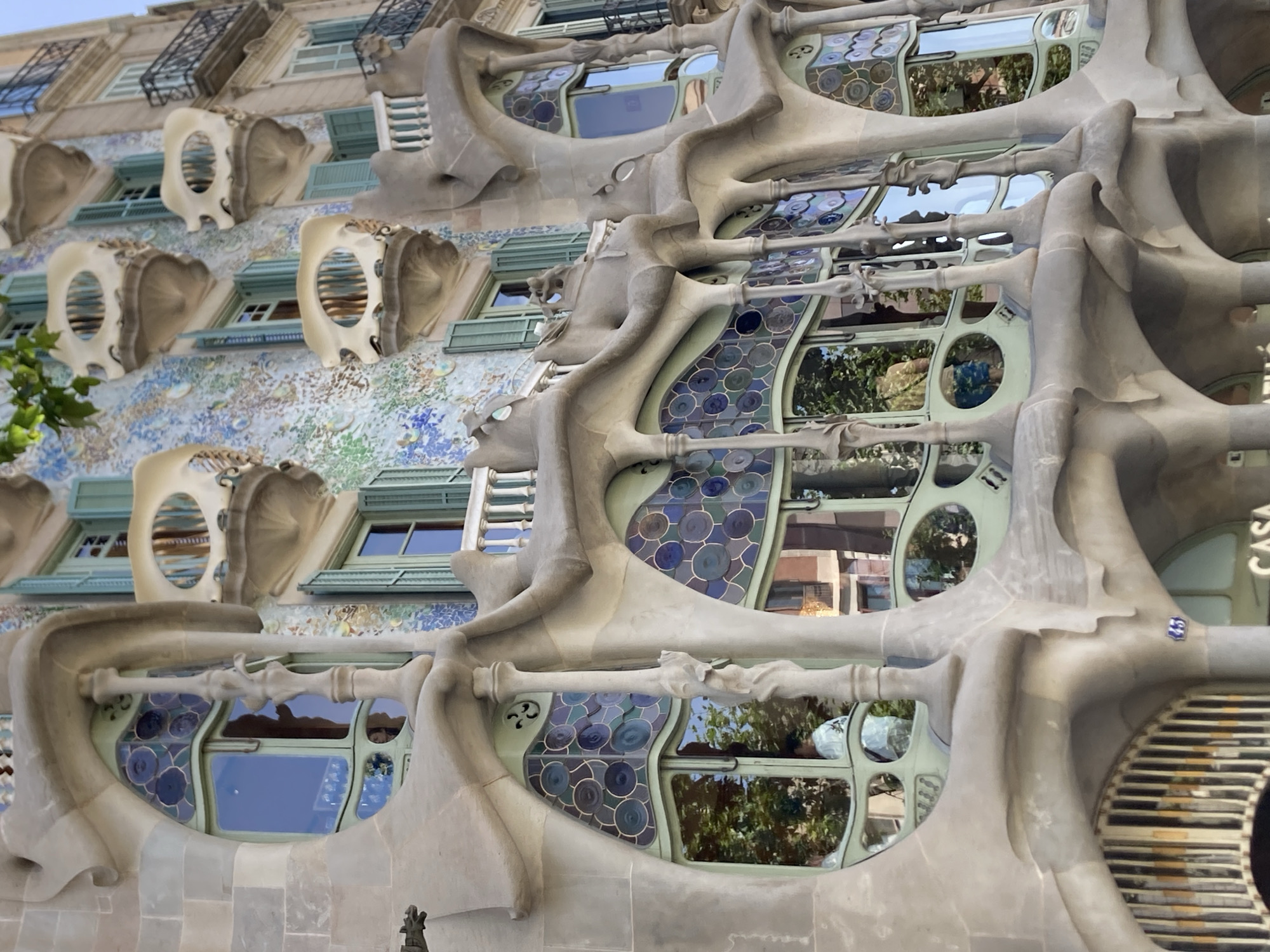 This is a detailed, close-up, eye-level, exterior, daylight, medium shot of Casa Batlló, located on Passeig de Gràcia in Barcelona, Spain. The building's facade, designed by Antoni Gaudí, is characterized by its organic, flowing forms and vibrant, colorful mosaic tiles. The image focuses on the lower floors, showcasing intricate stonework that resembles bone-like structures and fluid shapes. Large, irregularly shaped windows with green frames are prominent, some featuring stained glass with circular patterns in shades of blue and green. Reflections of trees and the sky are visible in the glass. Several ornate balconies with decorative elements are also featured. A person wearing a light-colored shirt is partially visible through one of the windows. Below the windows, there are arched entrances with metal grating. The overall impression is one of a highly artistic and unconventional architectural masterpiece.