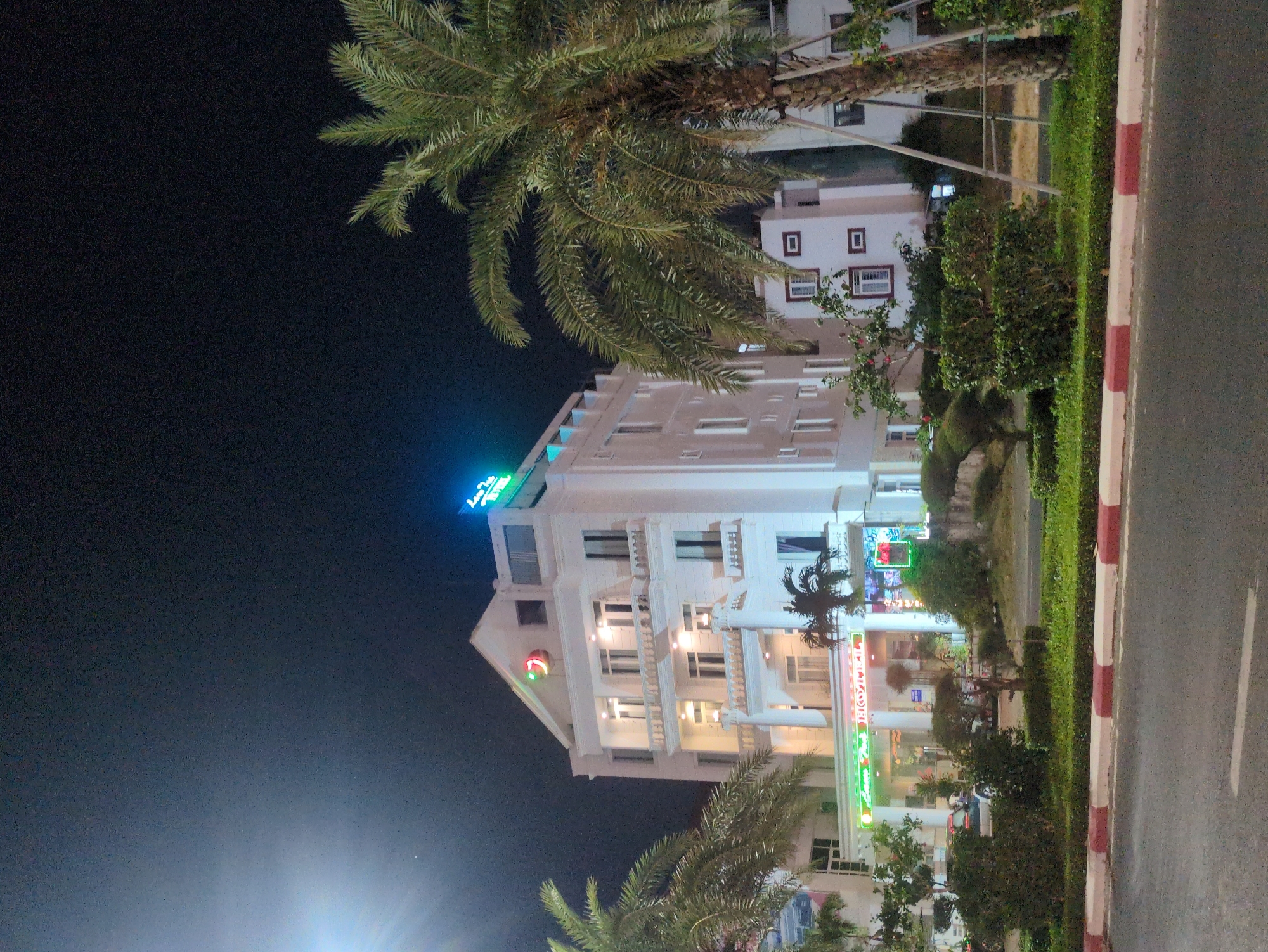 At night in Tuy Hòa, Vietnam, a tall, white hotel with illuminated signage is visible beyond a row of palm trees and a trimmed green hedge. The edge of a street is prominent in the right foreground, marked by a white curb with red stripes. The night sky is dark, contrasting with the brightness of the hotel and street lighting. No people are visibly depicted in the image.
