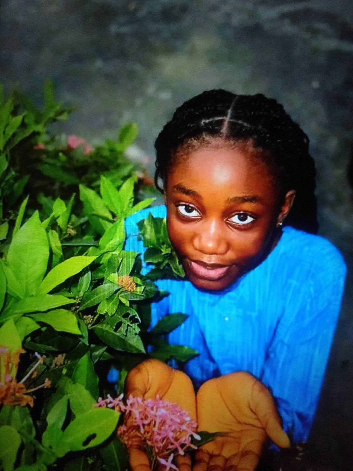 A young girl with dark skin and braided hair is holding small pink flowers in her cupped hands, looking directly at the camera. She is wearing a blue shirt. The girl is positioned to the right of the frame, with lush green foliage filling the left side of the image. The background is a blurred, dark, and textured surface, possibly a wall or natural ground. The scene appears to be outdoors, in a garden or natural setting, within the city of Jalingo, Nigeria.