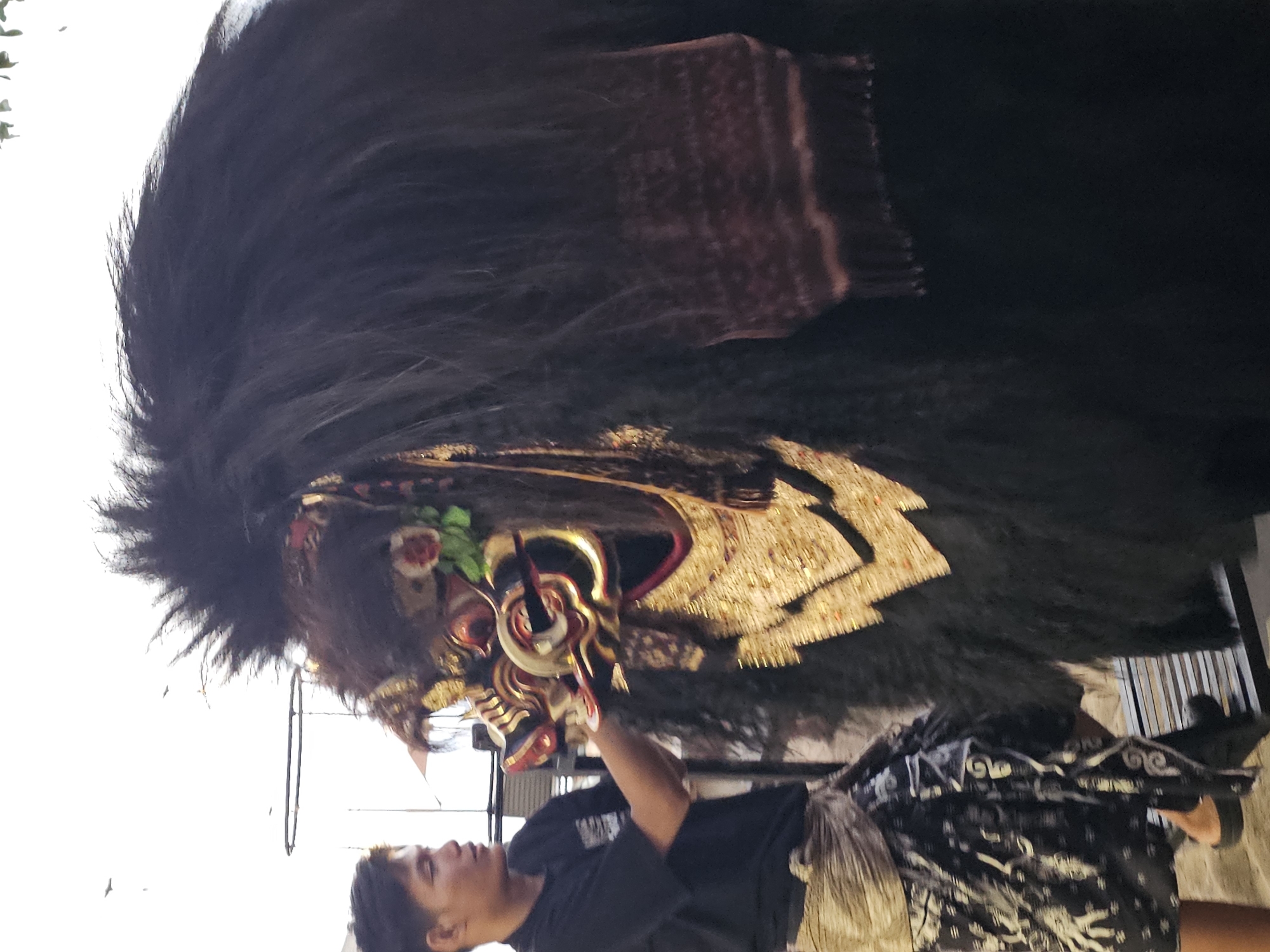 A young man in a black t-shirt and a sarong is adjusting a large, elaborate mask. The mask is designed to resemble a fierce creature with a black, shaggy mane, a golden and red face with sharp teeth, and decorative elements including flowers and ornate gold trim. The man's right hand is touching the mask near its mouth. The background is bright and slightly blurred, suggesting an outdoor setting with a pale sky. Some birds are visible in the sky. The overall scene appears to be in Denpasar, Indonesia, given the cultural context of the mask.