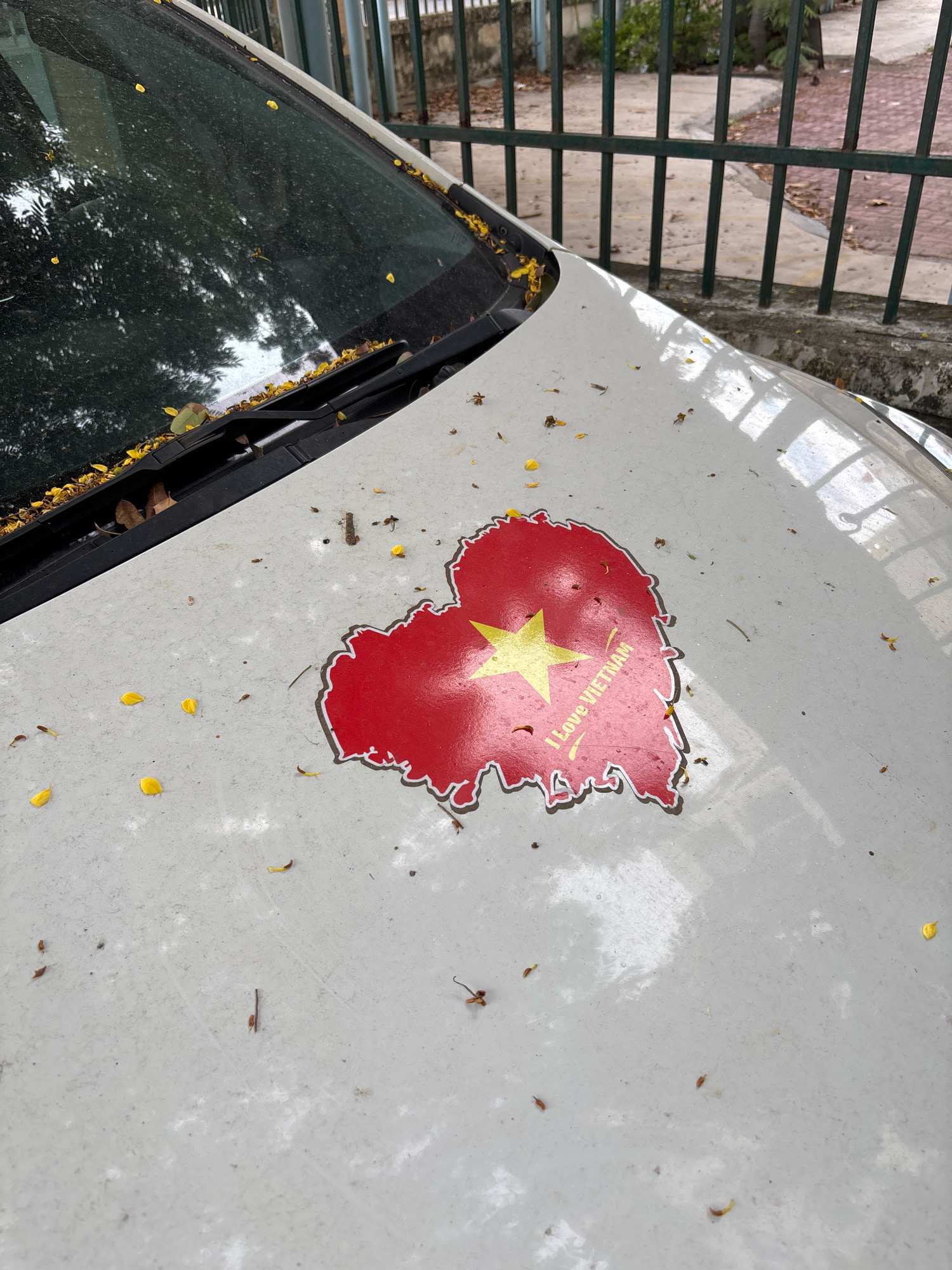 The image shows a close-up of a dirty white car hood in Nha Trang, Vietnam. A heart-shaped sticker depicting the map of Vietnam with a red background and a yellow star, reading "I love Vietnam," is prominently displayed on the hood. Scattered yellow flower petals and leaves are also present on the hood and the windshield, indicating an outdoor environment, possibly under a tree. In the background, a green metal fence and some foliage are visible, suggesting the car is parked outdoors, likely on a street or in a residential area. The overall impression is one of a weathered vehicle in a tropical setting.