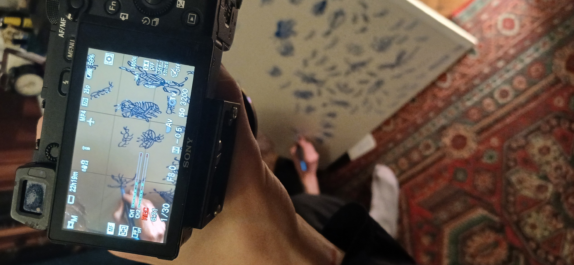 The image shows a person holding a Sony camera, taking a video of someone drawing on a large sheet of paper. The camera screen displays the video feed, showing the person drawing insects and other creatures on the paper. The camera settings visible on the screen are: MP4 120 25p, battery 59%, AV mode, F8.0, -0.5, ISO 3200, 1/30 shutter speed. The drawing appears to be done with a blue pen. The background shows a patterned rug on the floor, with the person drawing sitting on the floor. There's no indication of this being in Moscow, Russia.
