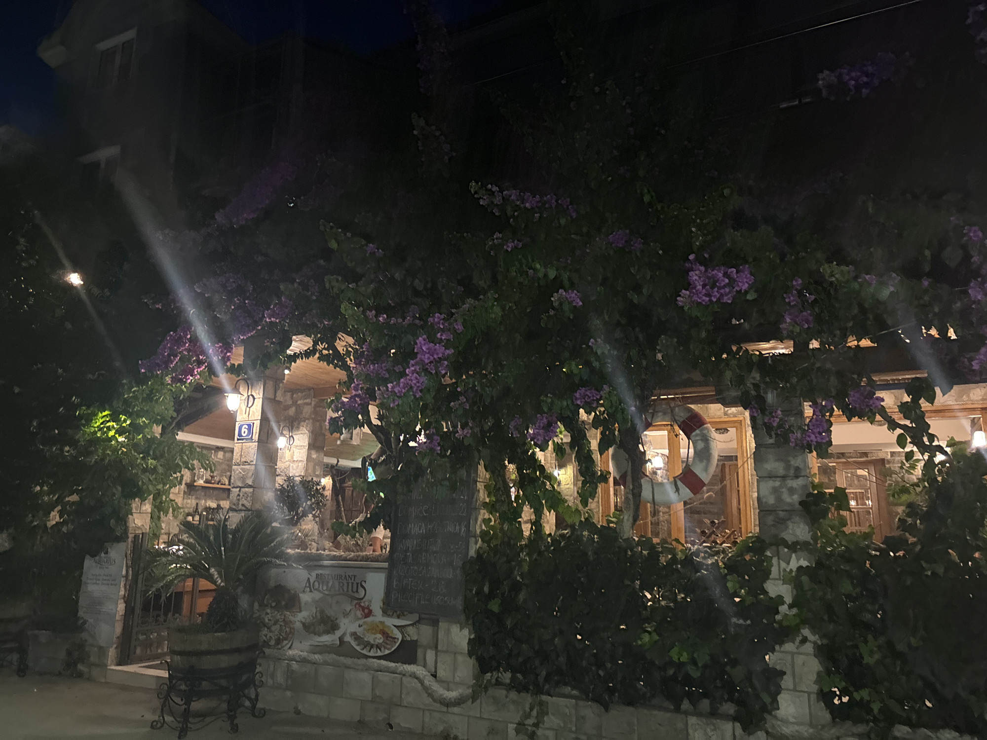 This is a nighttime photograph of the exterior of a building, likely a restaurant, in Budva, Montenegro. The building is constructed with stone and wood, with large windows revealing a dimly lit interior. Purple flowers are blooming on vines draped over the structure. A life preserver hangs on a stone pillar to the right of the entrance. In front of the building, there is a potted palm plant and a sign that reads "RESTAURANT AQUARIUS". The overall scene is dark, with artificial lighting illuminating the building and its surroundings. There are no people visible in the photograph.