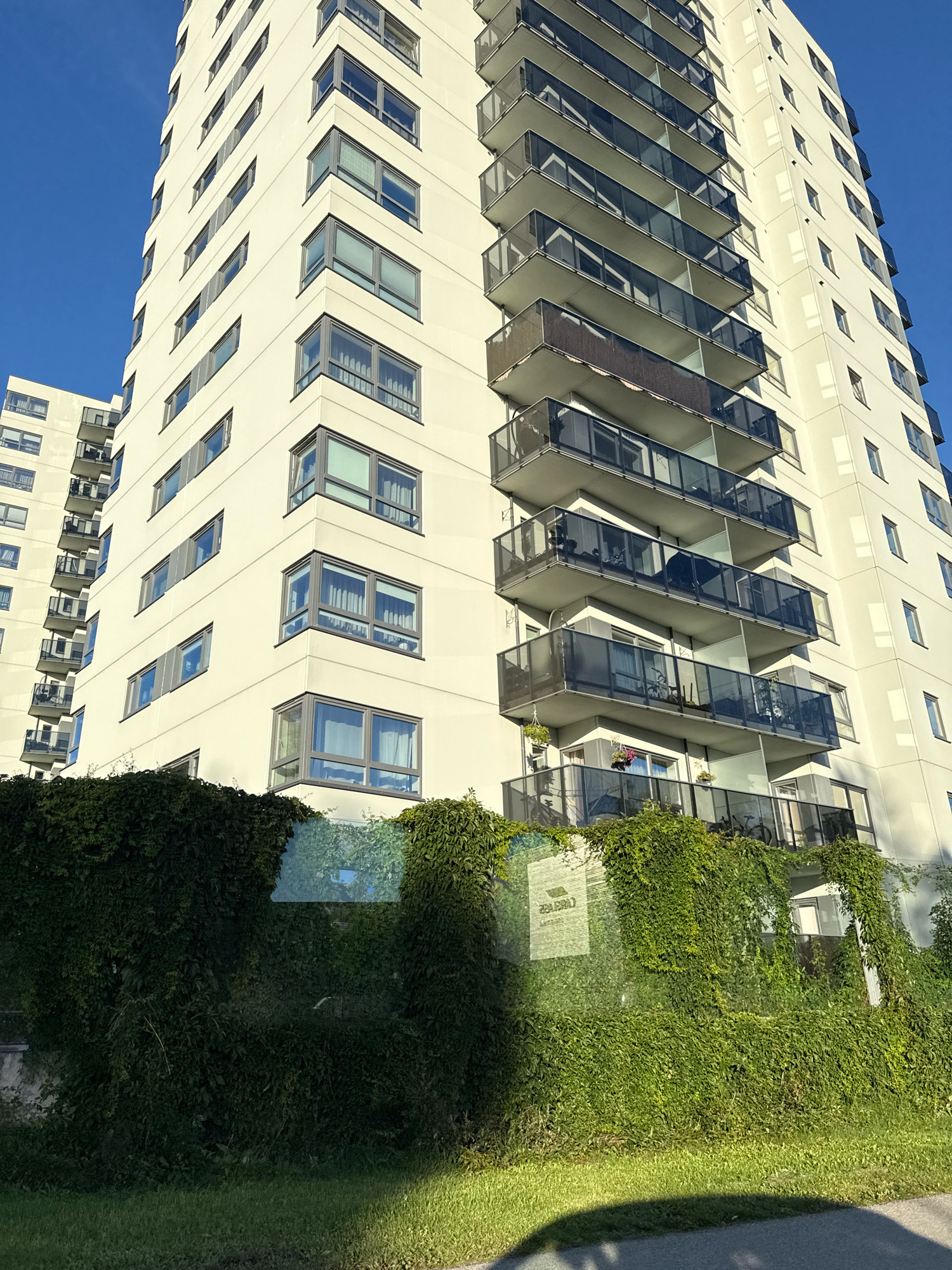 This media file depicts a modern, multi-story apartment building set against a clear blue sky, suggesting a sunny day. The building is predominantly white with numerous balconies and windows. The balconies have dark glass railings and metal supports. Some balconies contain potted plants and what appear to be bicycles.
The lower section of the building is obscured by lush, green ivy that has grown over a glass wall or fence. This vegetation creates a striking contrast with the clean, geometric lines of the building. The ivy is dense and covers a significant portion of the lower facade, with some vines trailing down to the grassy area in the foreground.
There is a sign visible through the ivy and glass, with some text that is partially obscured and reversed. The legible portions of the text include what appears to be a company name or development project, possibly "URBANSKI" or similar, and other indistinct words.
The scene appears to be residential, and the presence of plants and balconies suggests the building is inhabited. The time of day is likely late morning or early afternoon, given the bright sunlight and the shadows cast. The location is identified as Tallinn, Estonia. There are no people clearly visible in the frame, but the presence of the building and its amenities indicates a living space. The overall mood is one of modern living integrated with nature, with the ivy adding a touch of organic beauty to the urban architecture.