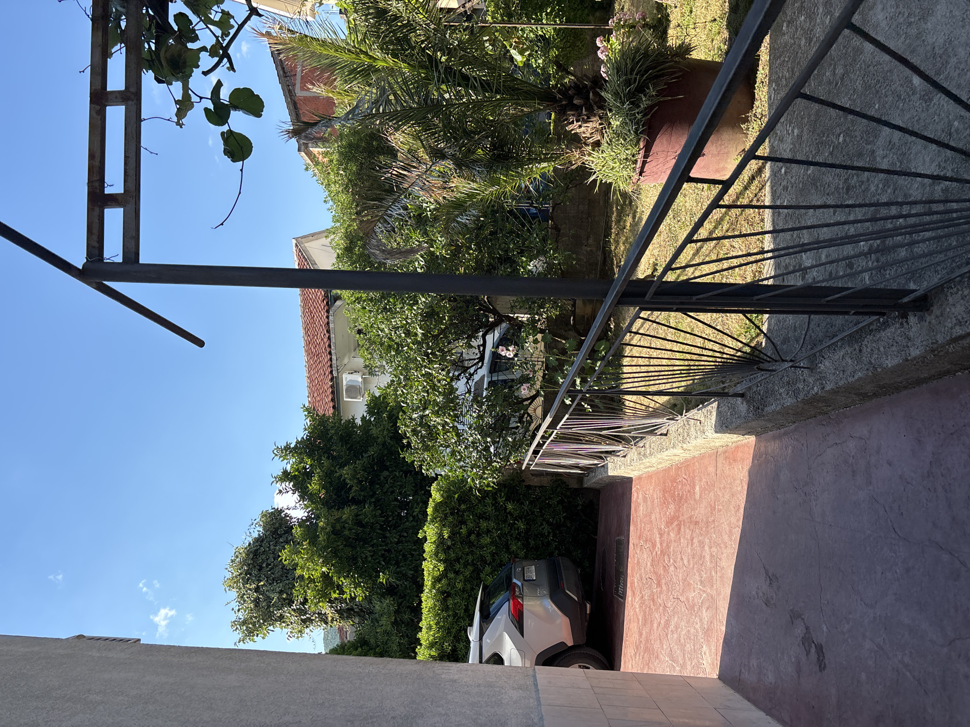 The image depicts a sunlit courtyard in Budva, Montenegro. A light-colored SUV is parked on a red-patterned concrete driveway on the left. A dense green hedge runs along the edge of the driveway. A black metal fence with a decorative fan pattern divides the courtyard. Beyond the fence, a palm tree in a large terracotta pot stands in a grassy area with a few pink flowers. Lush green trees and the tiled roofs of houses are visible in the background, under a clear blue sky with a few wispy clouds. A grey concrete structure, possibly part of a building, is visible on the far left.