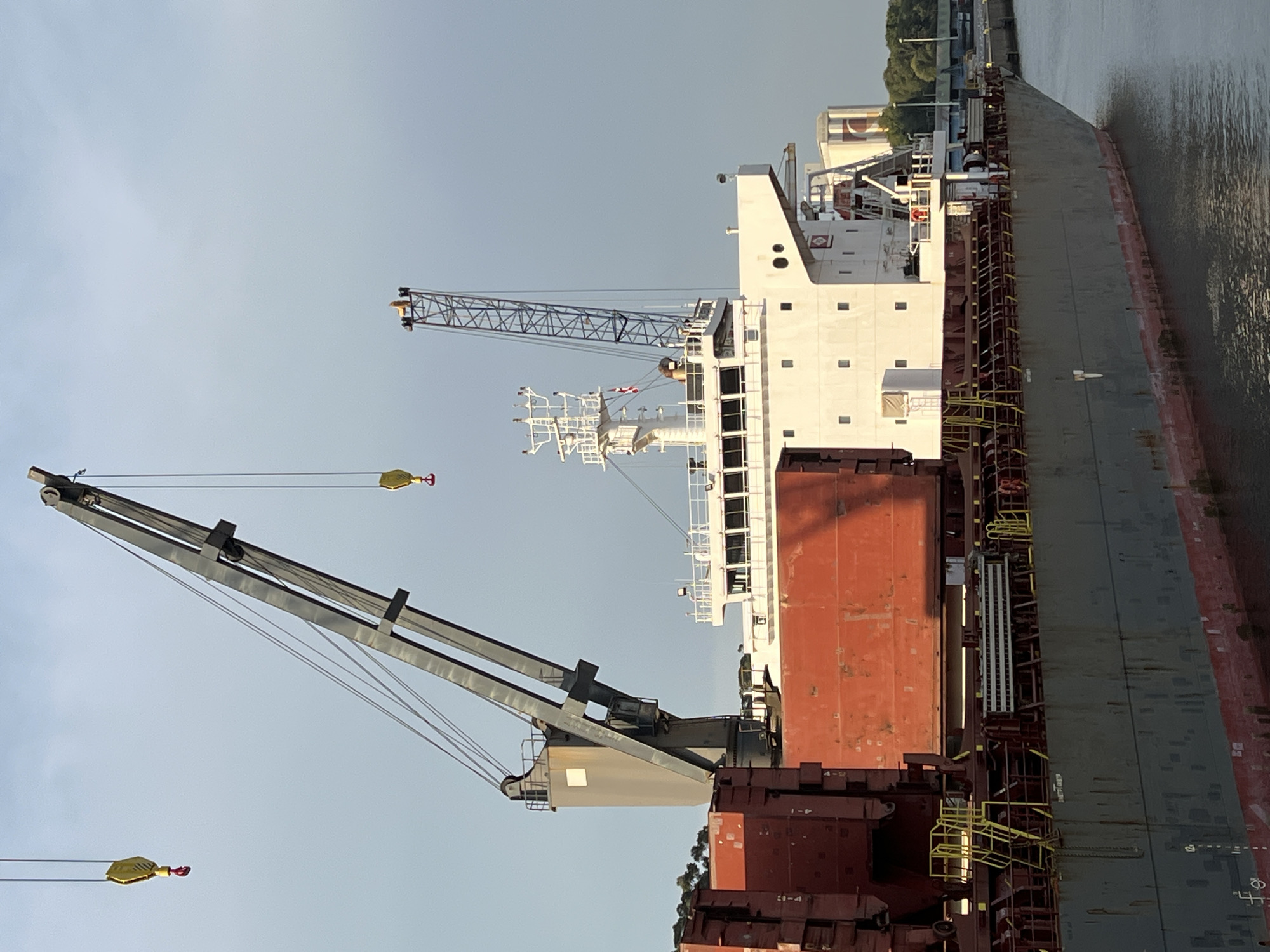 The image shows a large cargo ship docked at a port, likely in Matosinhos, Portugal, given the context of other images from the same location. The ship is gray with a red waterline. It is laden with large, red cargo containers. Two cranes are visible on the ship, one much larger than the other. The larger crane is gray and extends over the containers, with a yellow hook hanging from it. The smaller crane is blue and lattice-like, positioned further back on the ship. In the background, a white building with multiple windows, possibly the ship's superstructure or a port building, is visible. The sky is overcast with a muted blue hue. The water in the foreground is calm and reflects the ship. The scene depicts a typical port operation, likely in the process of loading or unloading cargo. There are no people clearly visible in the image.