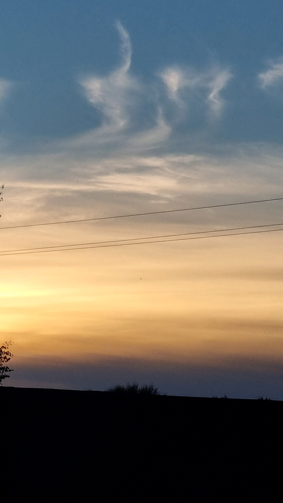 The image depicts a silhouetted landscape at dusk. The foreground is a dark, undulating silhouette of a hill. On the left side of the hill, a tree branch is visible in silhouette. The middle ground shows a line of low bushes or trees, also in silhouette. Above the horizon, the sky transitions from a deep blue at the top to a soft gradient of orange and yellow near the horizon, indicating sunset. wispy white clouds are present in the upper portion of the sky, some of which appear to be shaped like figures. Two horizontal power lines stretch across the sky, intersecting the orange and blue bands of the sunset. The scene is quiet and serene. The location is identified as Vysokoe, Russia.