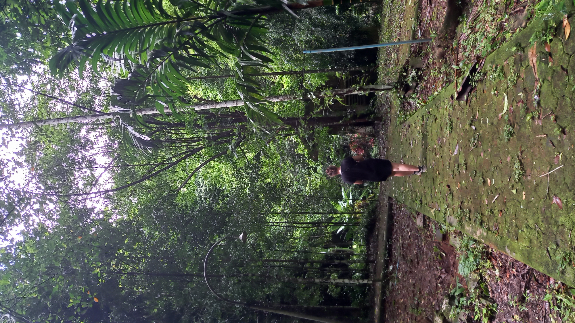 A young person wearing a black outfit walks along a moss-covered stone pathway in Ban Pak Ra, Thailand. The pathway is surrounded by lush green vegetation, with dense trees forming a canopy overhead. A curved streetlight is visible on the left side of the path. A blue pipe runs through the trees behind the person.