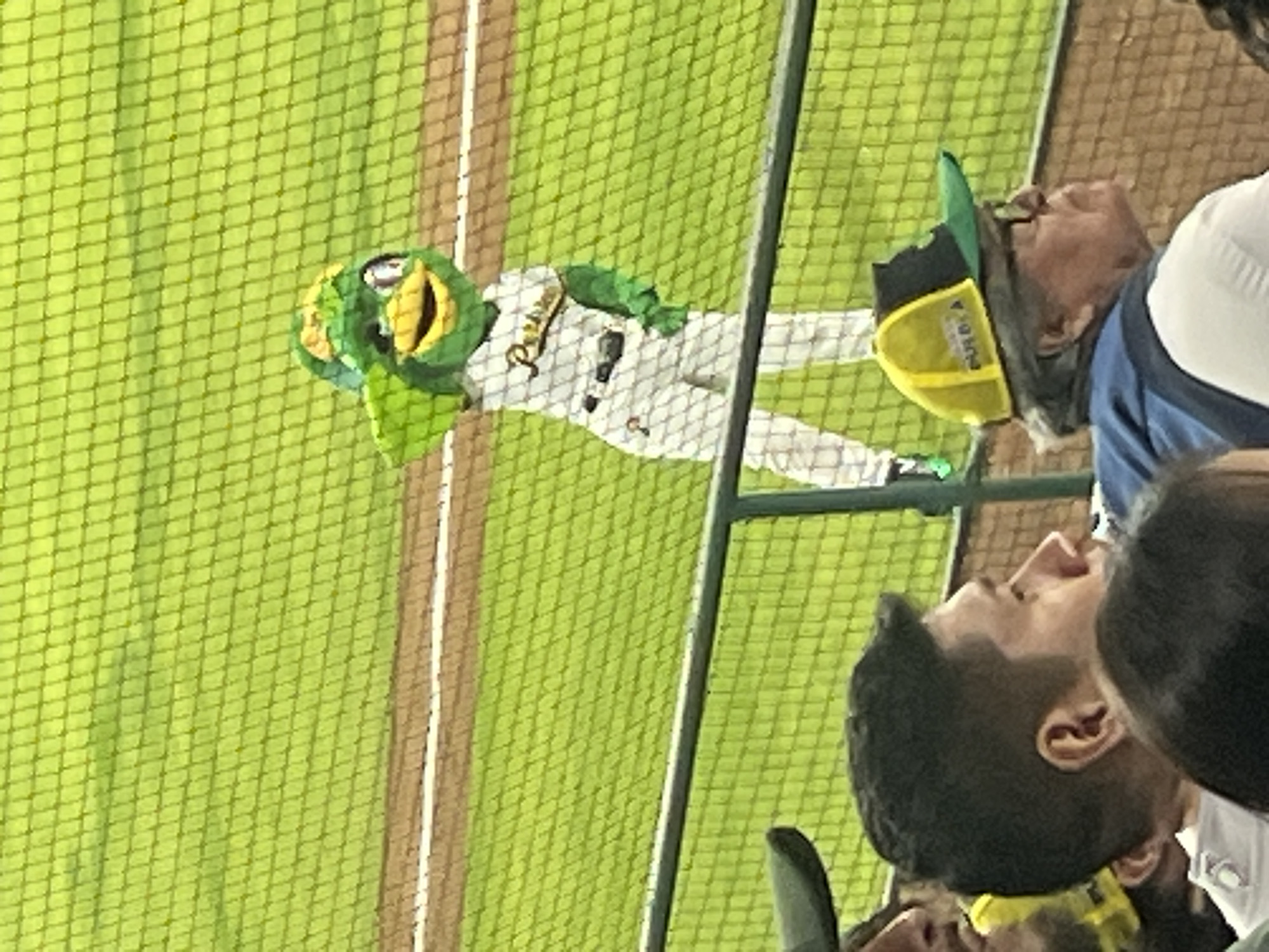 A medium shot, taken through netting, depicts a baseball field and spectators at an Oakland Athletics game in an unknown location. The field is green, and a figure in a green and yellow Athletics mascot costume is visible on the field. A man in a yellow and green baseball cap is looking in the same direction as the mascot. The crowd is visible on the right-hand side of the image, partially obscured.