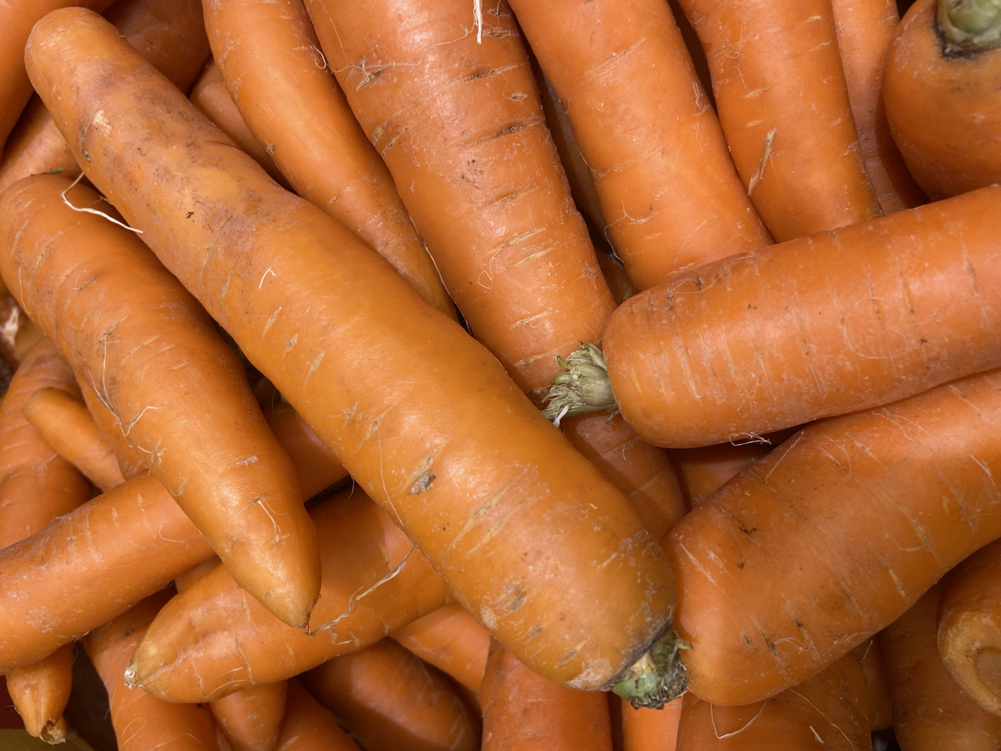 A close-up, overhead shot features a pile of fresh, bright orange carrots. The carrots are of varying sizes and shapes, with some showing remnants of green leafy tops. The skin of the carrots appears slightly rough, with subtle lines and occasional dark spots or blemishes, indicative of their natural growth. Some finer root hairs are also visible. The lighting is even, highlighting the vibrant color and texture of the vegetables. The image does not depict any specific location in Balashikha, Russia, or any people.