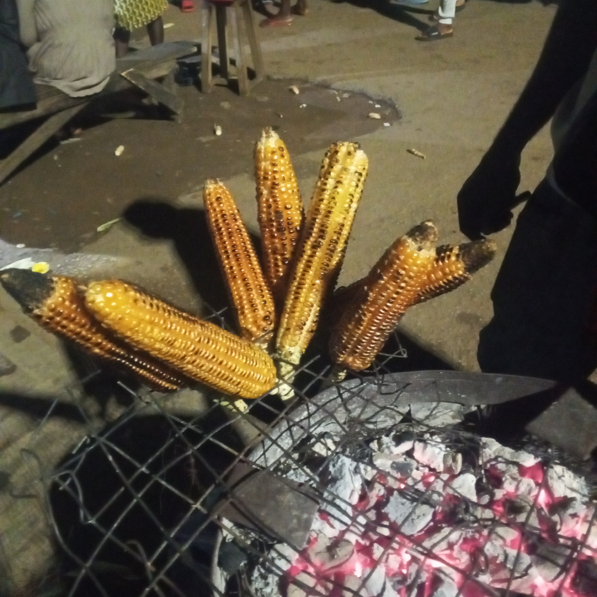 In the city of Unknown, Unknown, a close-up shot captures several ears of corn roasting over glowing coals. The corn, with its kernels charred and golden-brown, is arranged on a metal grill. In the background, the shadowy silhouette of a person's arm suggests they are tending to the corn. The ground is a rough, paved surface, littered with a few stray kernels. The lighting is dim, indicative of nighttime.
