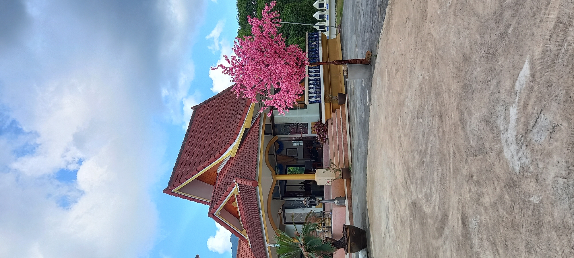 The image shows a building in Baan Chaloklum, Thailand. The building has a red tile roof with yellow trim. There is a pink flowering tree next to the building. The sky is blue with white clouds. The ground is concrete.