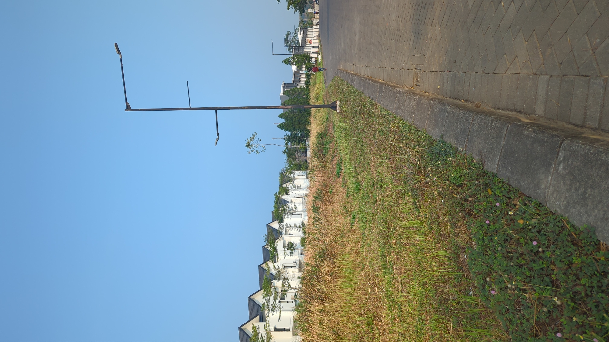 The image captures a quiet street scene in what appears to be a residential area, possibly a housing complex, under a clear blue sky. On the left side of the image, a row of modern, white houses with dark roofs is visible, set back from a patch of tall, dry grass and lower green vegetation. A concrete curb separates the grassy area from a paved walkway or road made of dark bricks laid in a herringbone pattern. Two streetlights are prominent on the left side, one tall with a double fixture and another shorter one. A single individual, wearing a red shirt, is walking away from the camera on the paved area towards the right. Further down the road, more buildings and trees can be seen, suggesting a developed urban environment. The overall atmosphere is serene, with natural light indicating it is daytime, likely morning or late afternoon due to the long shadows. The specific location within Semarang, Indonesia, cannot be precisely determined from the visual cues alone but the style of housing and street infrastructure are consistent with modern developments found in the city.