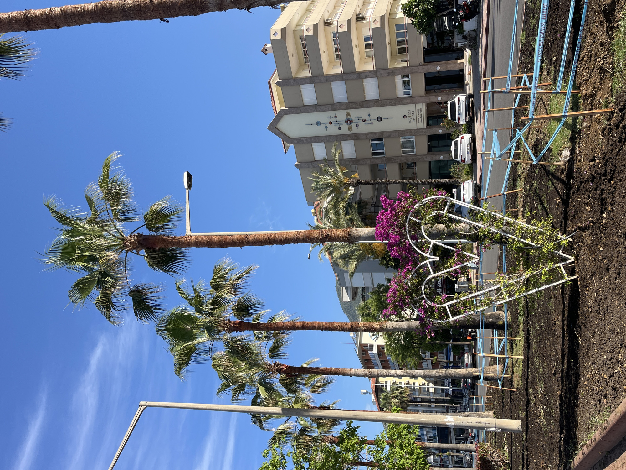 The image shows a street scene in Alanya, Turkey, on a sunny day. Several tall palm trees line the street, their fronds swaying in the breeze against a clear blue sky with wispy clouds. A modern building with a beige facade is visible behind the palm trees. The building has a decorative panel featuring an abstract design of circles and lines. A white, decorative heart-shaped structure sits on the side of the road, adorned with green foliage and vibrant purple bougainvillea flowers. A strip of freshly tilled soil runs alongside the road, supported by light blue and wood support beams. A few parked cars are visible on the street.