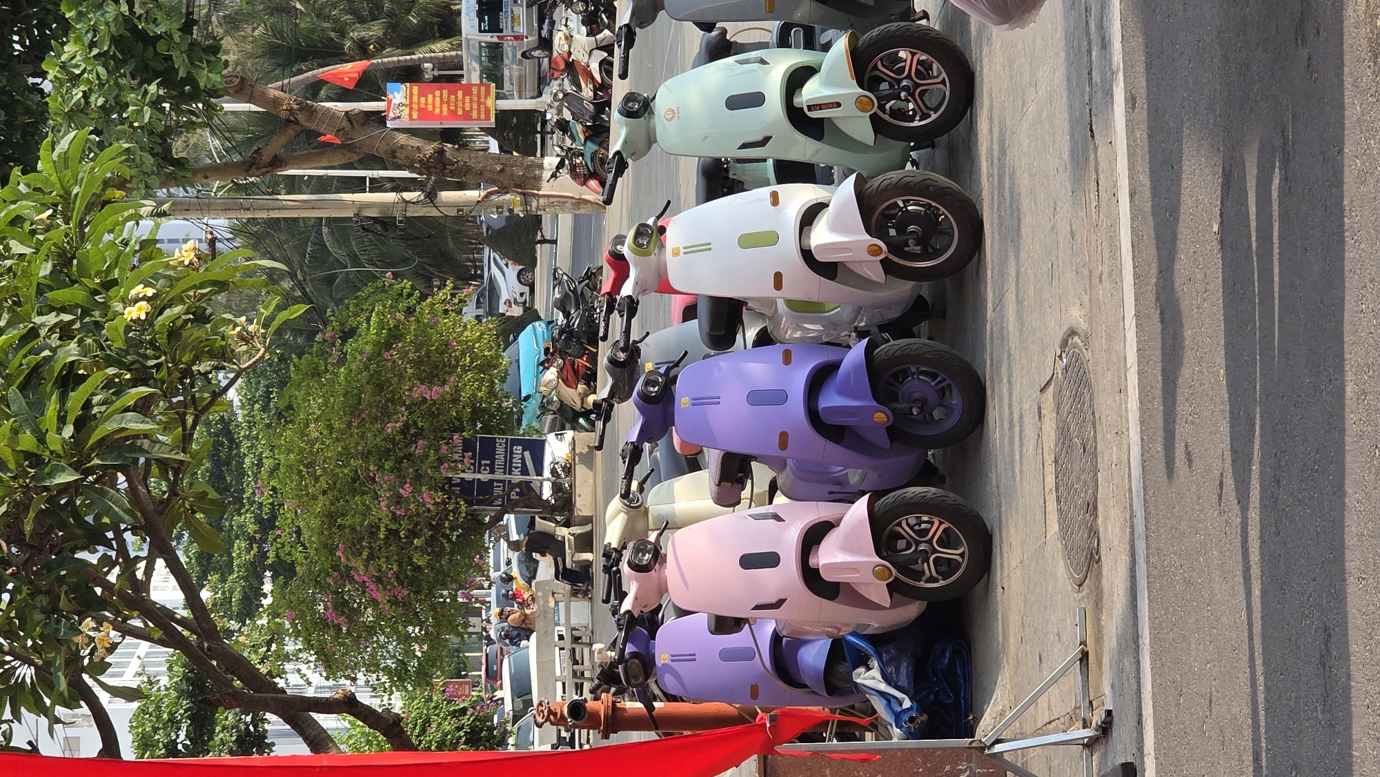 The image shows a row of parked electric scooters along a sidewalk or roadside in Bắc Nha Trang, Vietnam. The scooters are various pastel colors, including light green, white, purple, and pink. Some other motorbikes and vehicles are visible in the background along with some trees and building. A red cloth is visible in the bottom left corner. Street signs written in Vietnamese are affixed to a nearby tree. Shadows are cast onto the road surface.