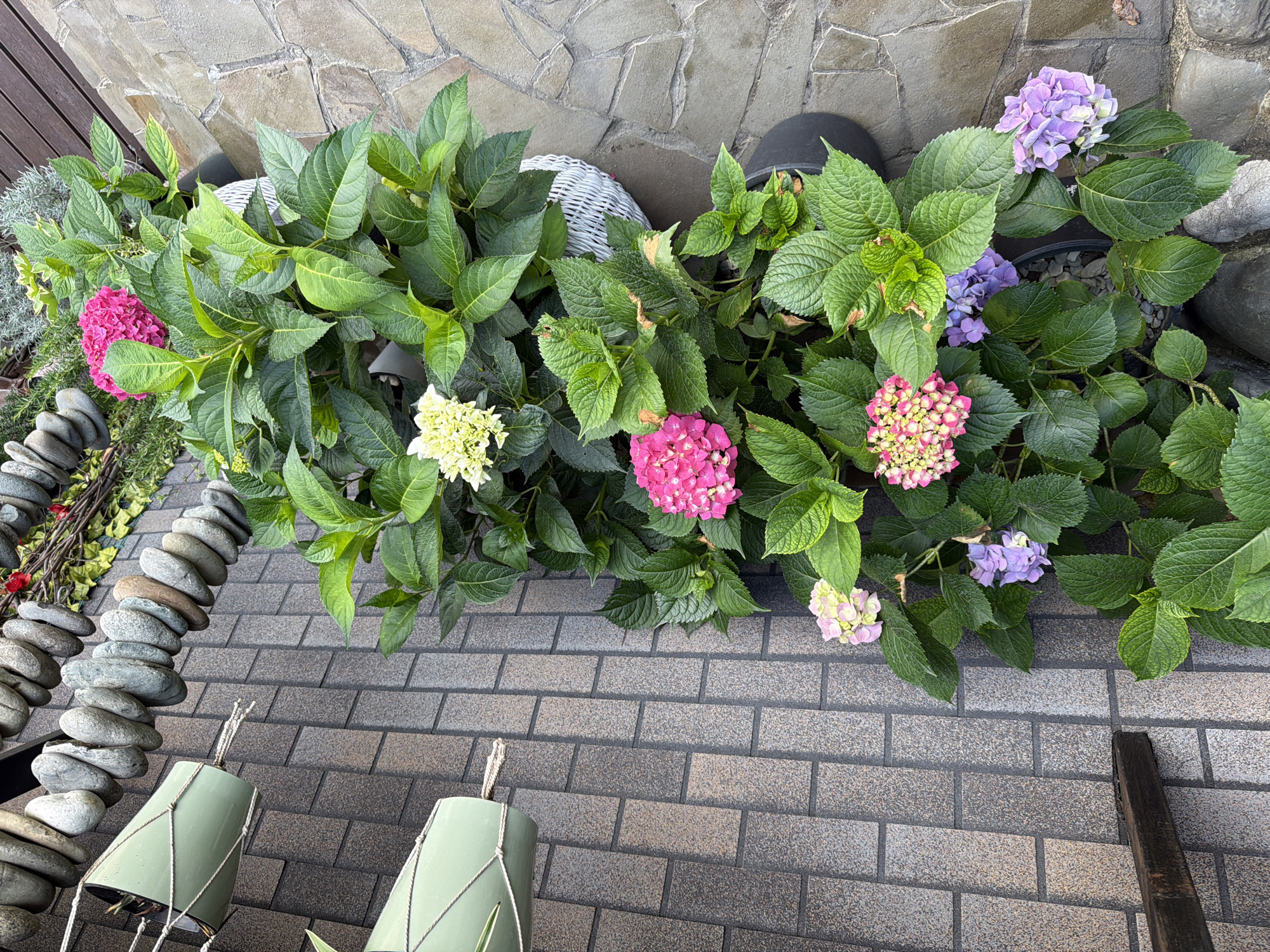 In Nizhnyaya Shilovka, Russia, a collection of potted hydrangea plants with vibrant pink, purple, and light yellow blooms are arranged along a textured brick wall. The hydrangeas, with their lush green foliage, are planted in black pots and one white wicker basket. The ground is paved with irregular stone tiles. Above the plants, two green hanging planters are suspended from a wooden beam attached to the brick wall. To the right, a decorative stack of smooth, grey stones and greenery creates a vertical accent. The scene appears to be an outdoor garden or patio area.