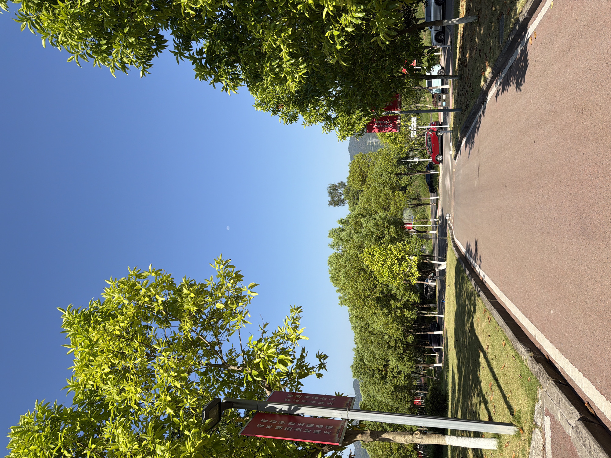 This is a wide-angle, eye-level outdoor photograph taken on a clear, sunny day. The scene depicts a paved road leading into a park-like area lined with trees. In the foreground, the road is a reddish-brown asphalt with a white line marking the edge. To the left and right of the road are grassy areas with several trees, some of which have vibrant green foliage. There are also some fallen leaves on the grass.
On the left side of the road, a lamppost stands with two red banners hanging from it. The banners have Chinese characters written on them. The lamppost is painted white on its lower portion.
In the middle ground, the road continues, and beyond it, there is a dense row of green trees. A few cars are visible parked or driving in the distance, including a red car on the left and a light blue and a silver car on the right. There are also some smaller trees interspersed within the grassy areas.
In the background, more trees and some mountains are visible under a clear blue sky. A faint crescent moon is visible in the upper left portion of the sky. The overall impression is one of a well-maintained park or campus area. The image appears to be taken in Jiangjin, China, likely a public space such as a park, university, or a similar setting.