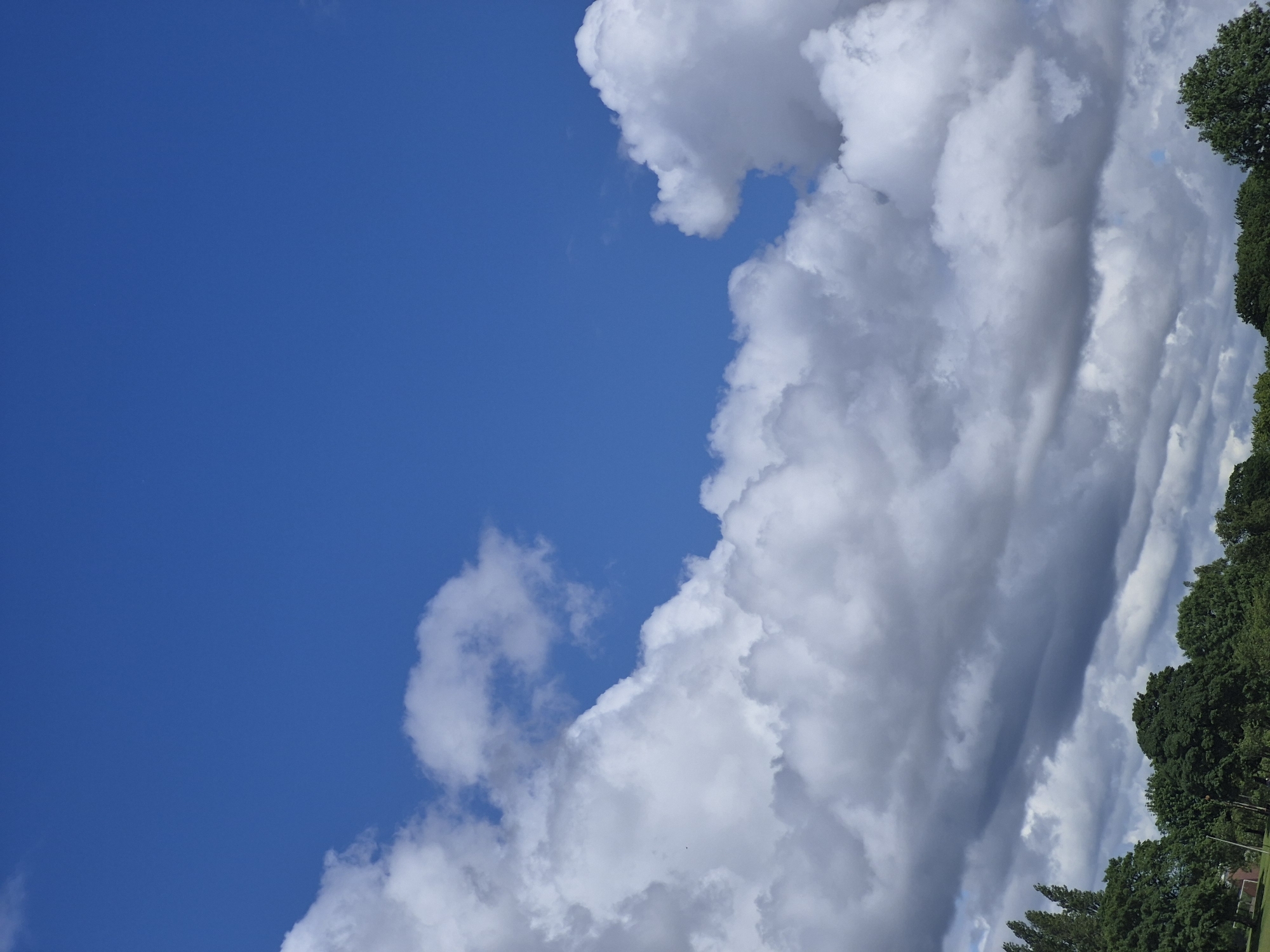 The image captures a partially cloudy sky above a line of trees. The sky is a vibrant blue with large, fluffy white clouds dominating the upper portion of the frame, creating a textured contrast against the clear blue. Towards the horizon, the clouds become denser and darker, suggesting a shift in weather patterns. Below the sky, a dense line of lush green trees stretches across the lower third of the image, obscuring much of the ground. The foliage appears healthy and full, indicative of a temperate climate. A small patch of red brick building is partially visible on the far left, peeking through the trees. The scene suggests an outdoor environment, possibly a park or a green space within a suburban or rural area. While the location is stated to be Sandwell, United Kingdom, no specific landmarks or urban elements are clearly identifiable within the frame, beyond the trees and the hint of a building. There are no people or animals visible in the image.
