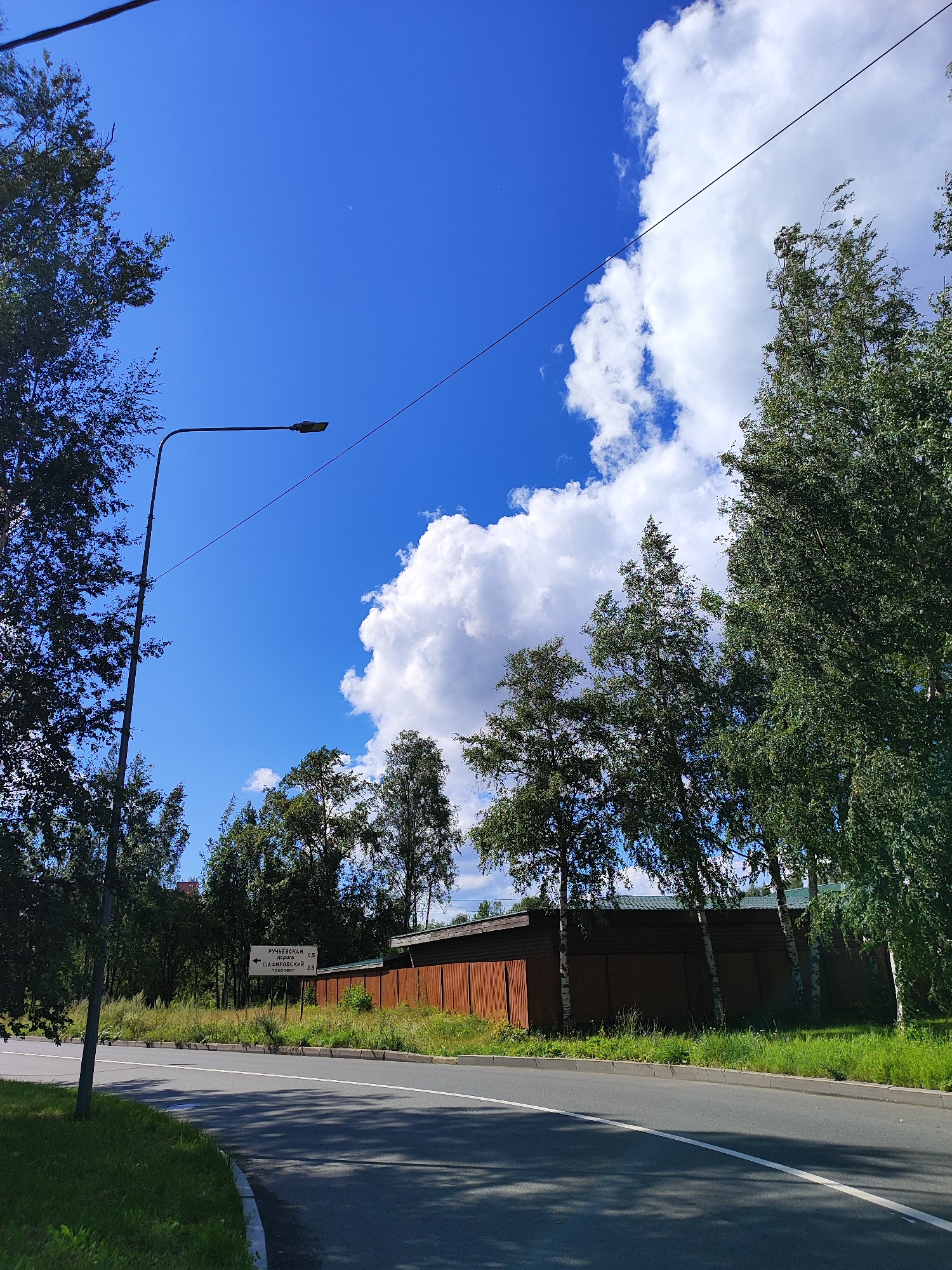 An eye-level, medium shot captures a roadside scene under a bright blue sky with scattered white clouds. A paved road curves to the left in the foreground, with a thin white line dividing the lanes. On the left side of the road, a tall, dark lamppost stands, its curved arm holding a light fixture. Beyond the lamppost, lush green grass and trees line the edge of the road. In the background, a long, low wooden building with a dark green roof stretches across the frame, bordered by a rusty-colored fence. Several birch trees with white bark and green foliage are positioned in front of the building. A white directional sign is visible on the left, with Russian text and numerical values indicating distances. The overall scene depicts a tranquil, semi-rural area on a clear day.