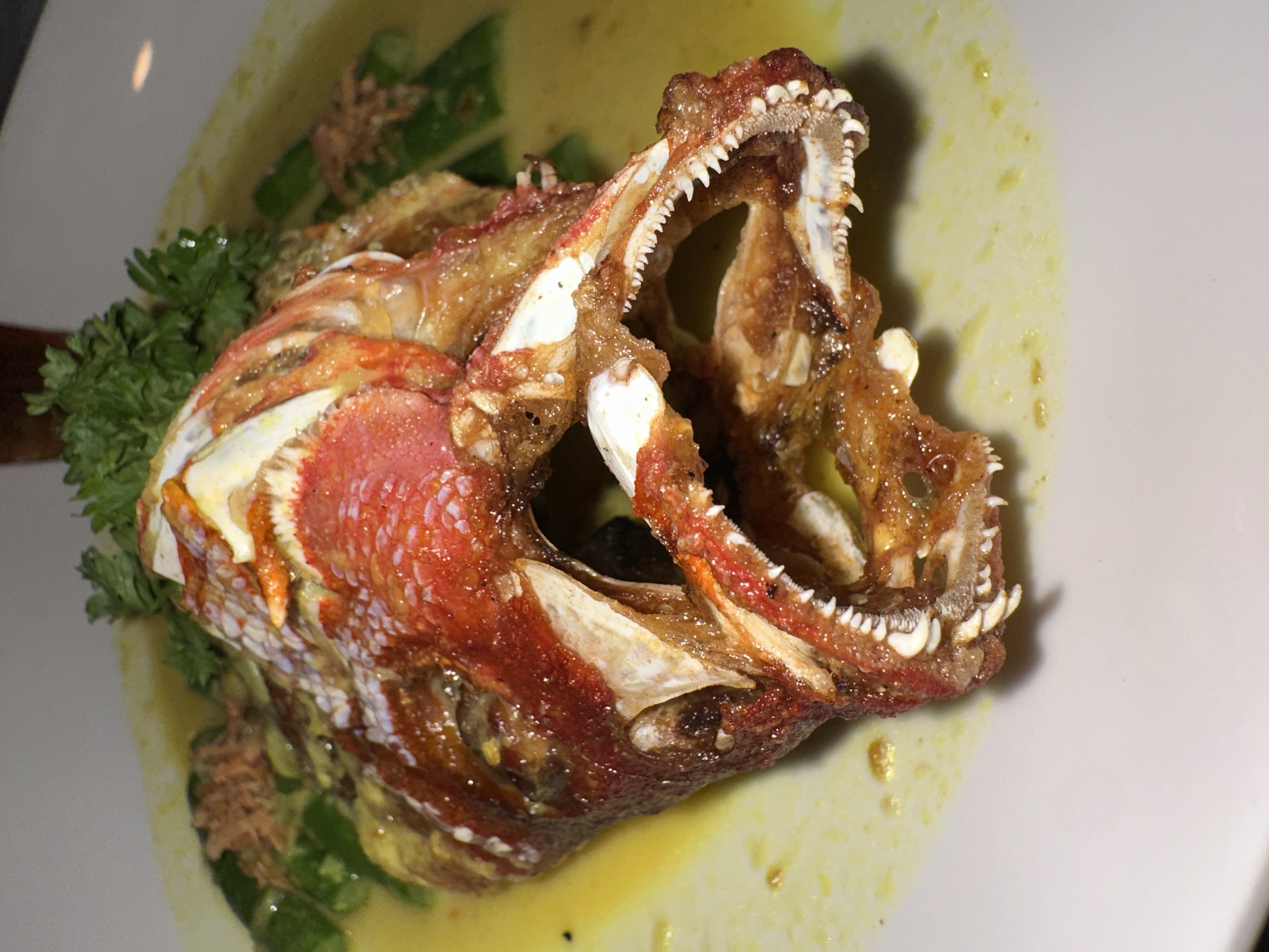 A fried fish head, predominantly red with some white, is presented on a white plate. The fish head is positioned towards the left side of the plate, with its mouth wide open, revealing sharp teeth. It appears to be surrounded by a yellow sauce, and some green vegetables, including what looks like parsley, are present. The fish head is the main subject of the photo. The location might be Nusa Penida, Indonesia.