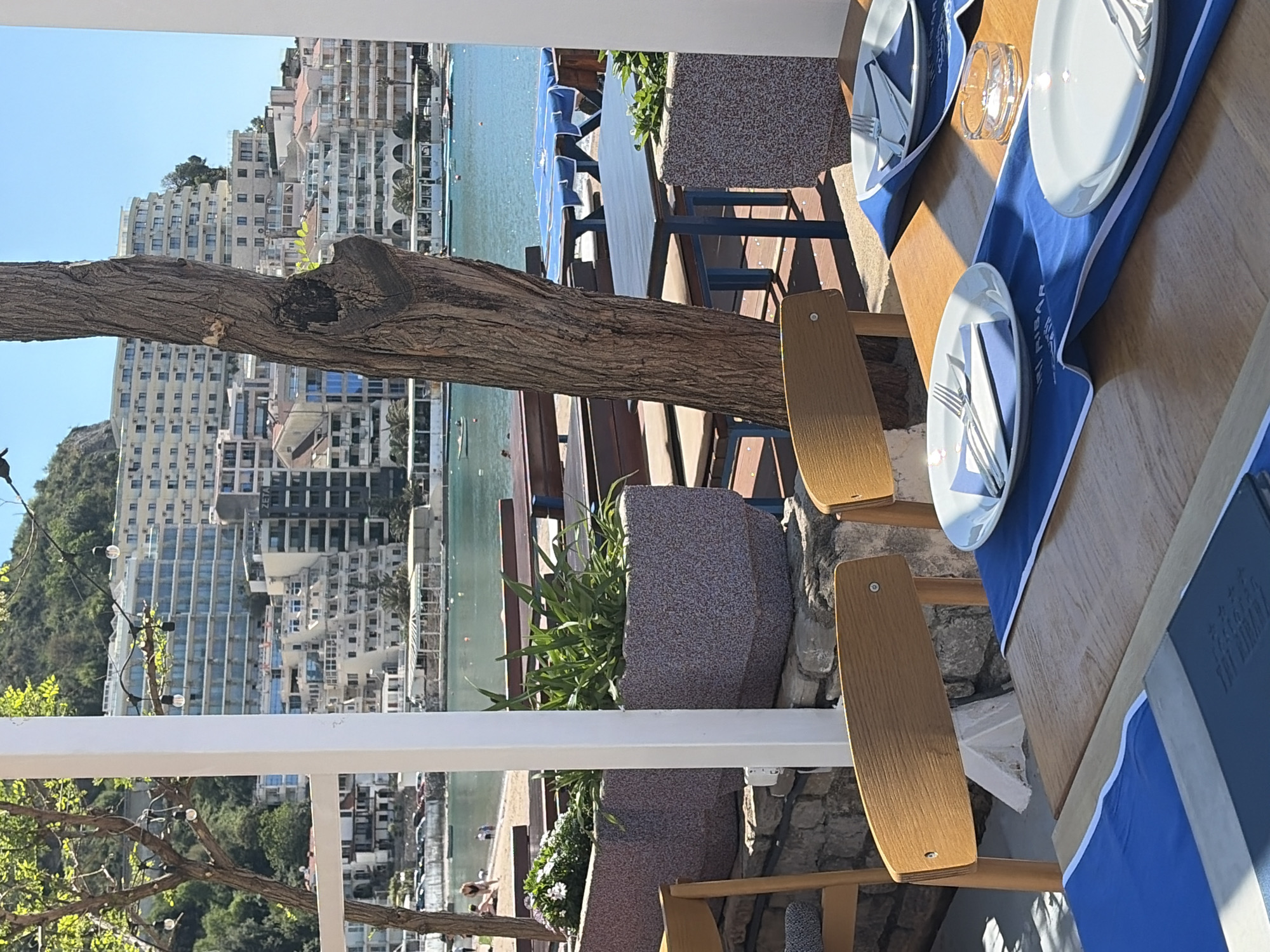 The image captures a scene from a restaurant or terrace in Rafailovići, Montenegro, overlooking the Adriatic Sea. The foreground features a dining table set with plates, cutlery, and blue placemats. Seating is provided by wooden chairs. A large tree trunk extends across the middle ground, partially obscuring the view of the coastline, buildings, and waterfront activities. The background showcases densely packed buildings stretching along the shoreline, with a body of water in front and a clear sky above. A white pergola or railing is visible in the lower left corner, adding depth to the scene.