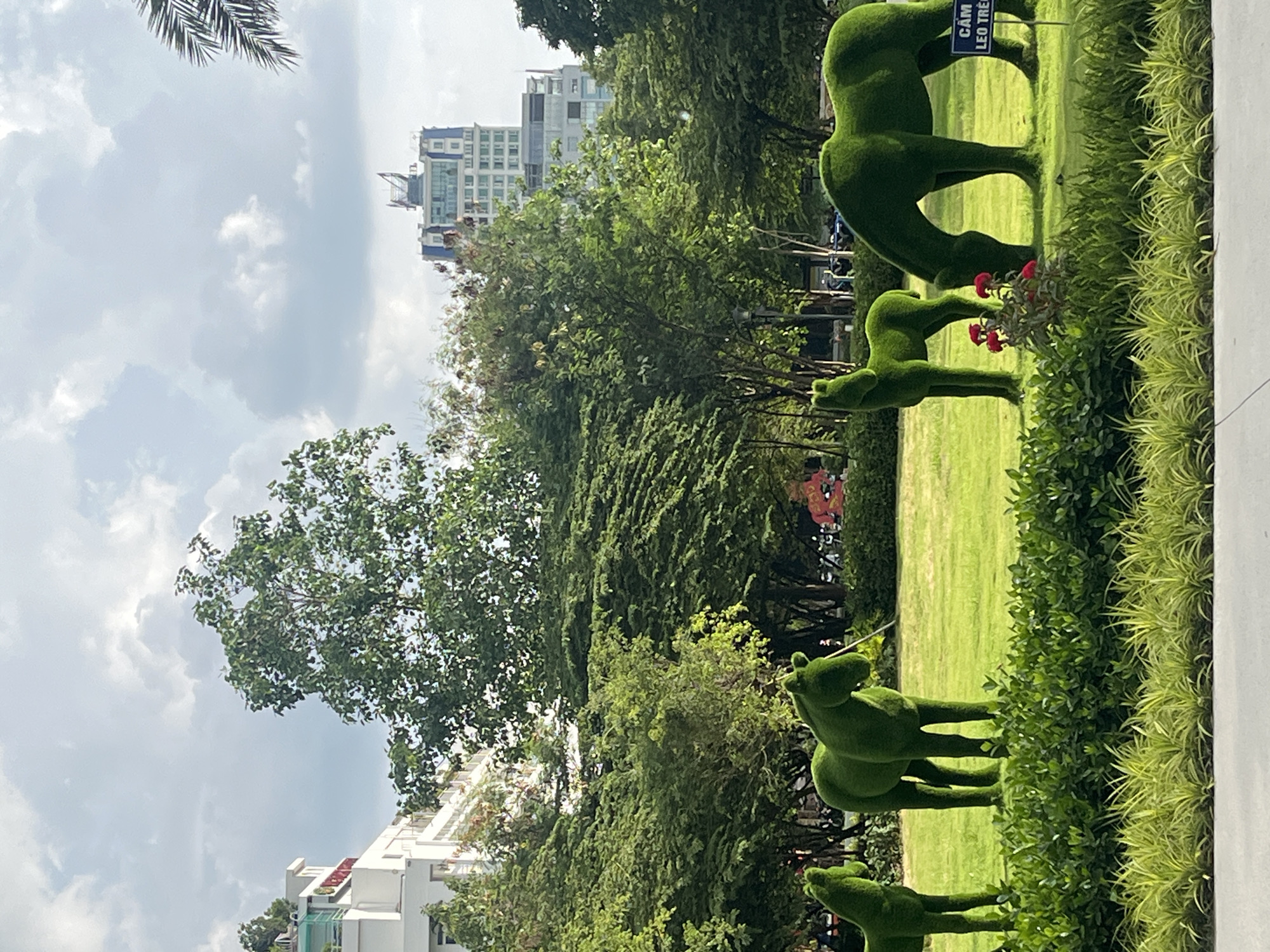 In Thủ Đức City, Vietnam, a verdant park scene unfolds under a partly cloudy sky. The foreground is dominated by a manicured lawn bordered by two distinct levels of green foliage. In the middle ground, four topiary sculptures shaped like horses are strategically placed across the grassy expanse. The horses are a vibrant green, meticulously sculpted from what appears to be moss or a similar plant material. The leftmost sculpture depicts a horse standing, followed by another standing horse slightly to its right. Further to the right, a smaller, juvenile horse sculpture stands independently. The rightmost sculpture is of a horse in a grazing posture, its head lowered towards the ground. Adjacent to this grazing horse, a small bush with vibrant red flowers adds a splash of color to the otherwise green landscape. A sign with Vietnamese text, partially visible, is positioned near the rightmost horse. The background reveals a dense canopy of trees, creating a natural wall of greenery. Beyond the trees, modern urban architecture rises, with buildings of varying heights and styles, indicating a city setting. The sky above is a mix of light gray clouds and patches of bright blue. The overall impression is one of urban landscaping that blends natural elements with artistic sculptures.
