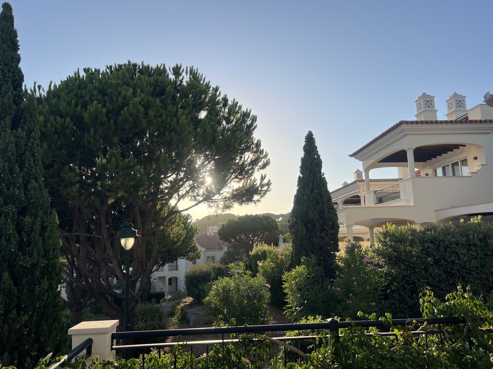 In Almancil, Portugal, a sun-drenched residential complex features a large pine tree with sunbeams filtering through its branches. To the right, a tall cypress tree stands beside a multi-story building with cream-colored walls, arched balconies, and decorative chimneys. Greenery, including bushes and flowering plants, surrounds the structures, and a black metal fence runs across the foreground, obscuring some of the lower foliage. A lamppost with a lit bulb is positioned near the pine tree. The sky is clear and blue, indicating a daytime scene.