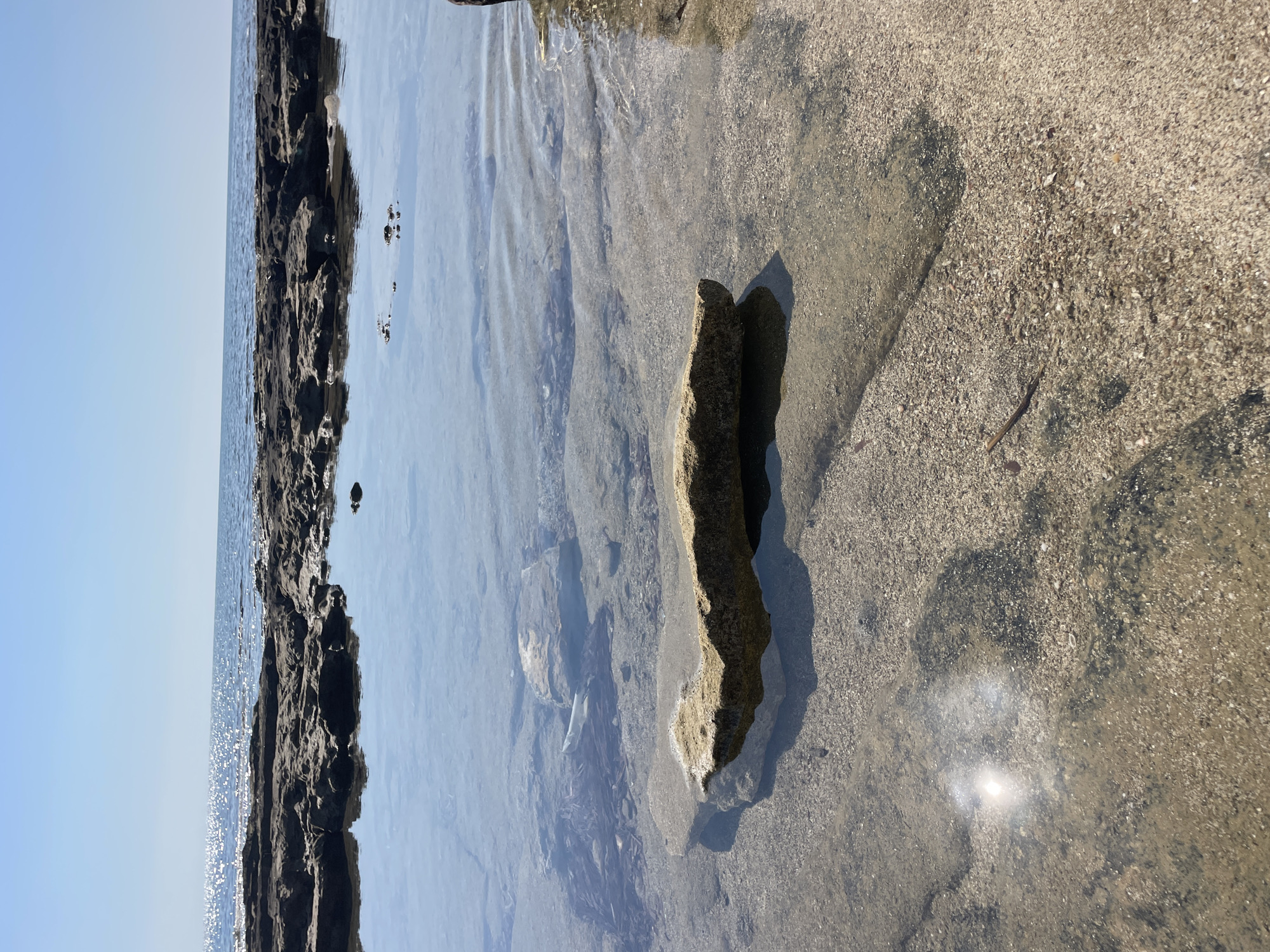 The image depicts a serene coastal scene, likely in Agios Sergios, Northern Cyprus. The foreground features a shallow tidal pool with a sandy bottom, dotted with small shells and pebbles. A prominent flat, tan-colored rock lies partially submerged in the clear water. The pool's surface reflects the bright blue sky and the shimmering sunlight. Beyond the tidal pool, a rocky shoreline, characterized by dark, rugged formations, extends towards the calm, blue sea. The horizon is clear, with the sea meeting the sky in a sharp line. There are no people or immediate signs of human activity in the frame. The overall impression is one of natural tranquility and coastal beauty.