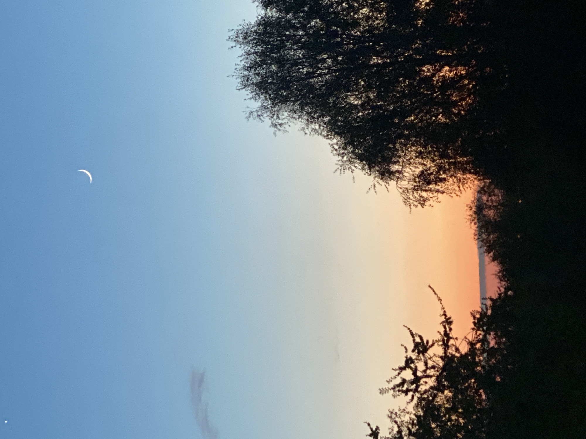 The image depicts a dusk or dawn sky. A crescent moon is visible in the upper left. The sky transitions from blue to orange near the horizon. Silhouetted trees frame the right side and bottom of the image. The location of Novokuznetsk, Russia, cannot be determined from this image.