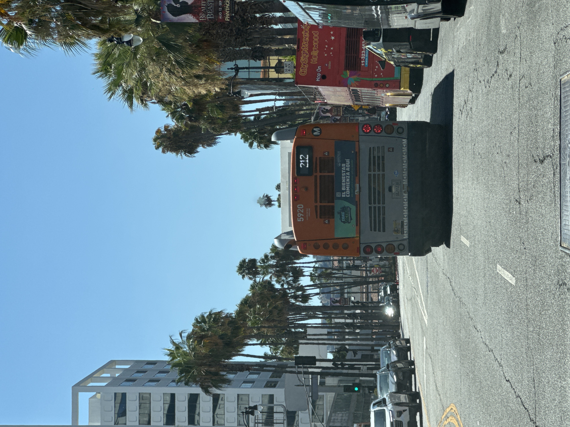 An exterior, eye-level, horizontal shot captures a street scene in Los Angeles, California. The sky is a clear, bright blue. On the left, a modern, white, multi-story building with a repeating grid facade stands tall, its upper floors reaching into the sky. Palm trees line the street on both sides, their fronds rustling slightly. A traffic light shows a green signal. Several cars are visible on the road, including a white SUV in the foreground.
Dominating the center of the frame is the rear of an orange public transit bus, number 5920, displaying the route number 212. Below the route number, text in Spanish reads "EL BIENESTAR COMIENZA AQUI" (Well-being begins here). The bus is in motion or stopped at a light. To the right of the orange bus, a red double-decker tour bus, branded "CitySightseeing Hollywood," is also visible, with text indicating "Hop On." The tour bus has a colorful graphic on its side featuring a palm tree. Other vehicles, including a black SUV with bright yellow rims, are also present in the traffic. The road itself is asphalt, showing some cracks and painted lane markings. The overall impression is a sunny day in a bustling urban environment with a distinct Hollywood flavor, evidenced by the palm trees and the tour bus.
