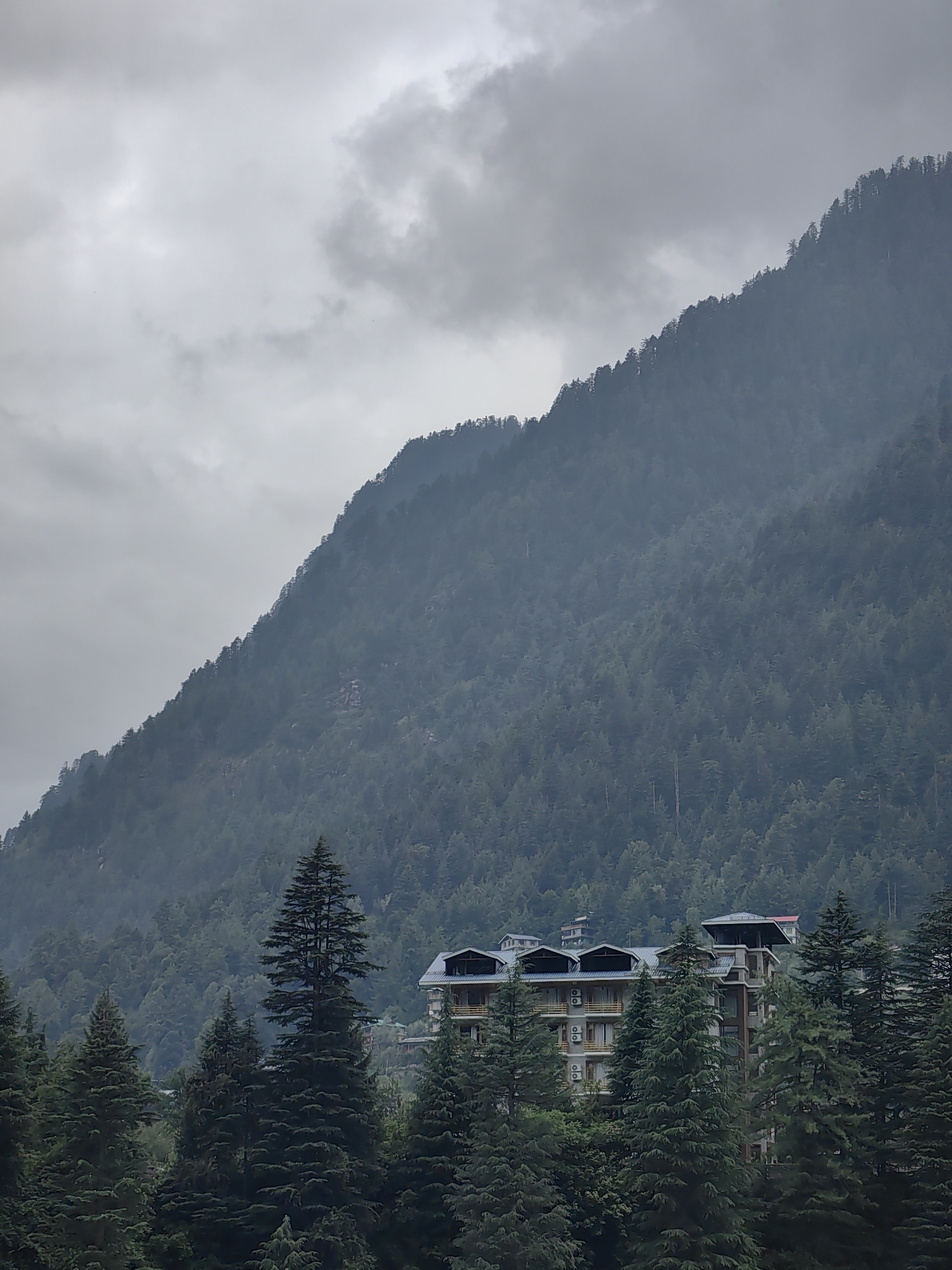 A tall, steep mountain covered in a dense forest of evergreen trees dominates the upper portion of the frame. The sky above is overcast with heavy, gray clouds. In the mid-ground, nestled among the trees at the base of the mountain, is a multi-story hotel with a dark roof, light-colored walls, and balconies. Several tall evergreen trees stand in the foreground, obscuring parts of the hotel and the mountain. The environment appears to be a natural, mountainous landscape with a hotel built into it. The scene suggests a tranquil, possibly cool, and damp climate.
