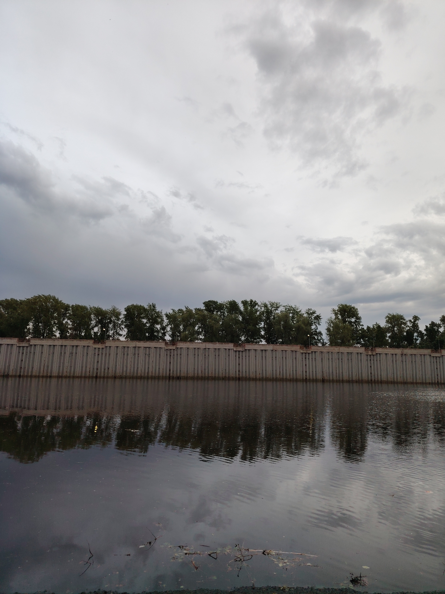 The image depicts a body of water, possibly a river or canal, with a concrete retaining wall lined with trees along its bank. The water's surface reflects the cloudy sky and the wall. Debris and plant life are visible in the foreground, near the water's edge. The sky is overcast. The location is potentially in Chaikovsky, Russia. No people are visible.