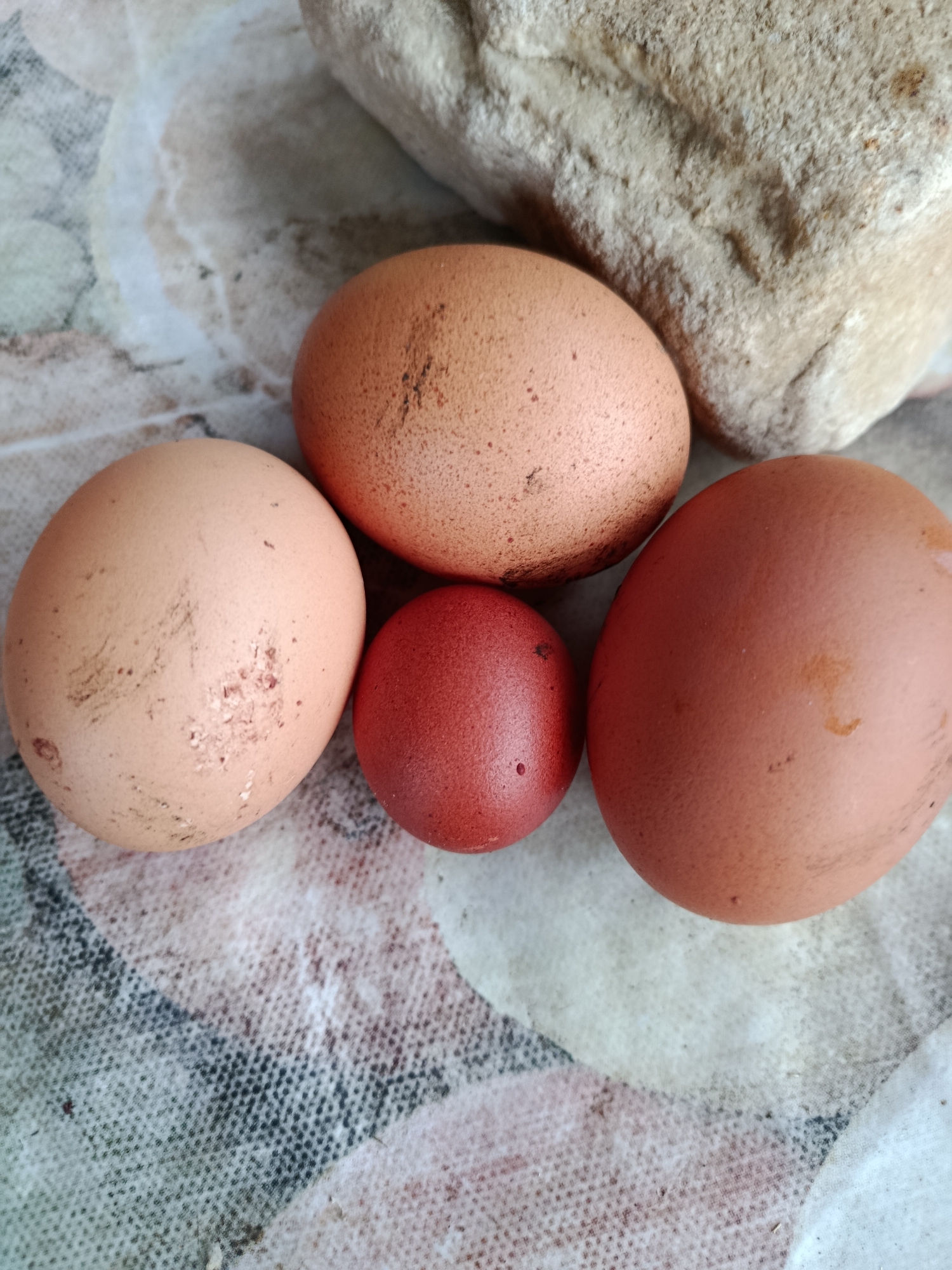 A still life image features four eggs and a light-colored, rough-textured rock placed on a patterned surface resembling fabric. Three of the eggs are light brown, while one is a deep red. The eggs are arranged in a cluster, with the red egg positioned centrally among the brown ones. The rock is situated behind the eggs and to the right. The surface they rest on exhibits a swirled pattern of beige, white, and dark gray. The lighting is diffused, casting subtle shadows. The scene appears to be indoors, possibly on a table or countertop. There is no indication of any specific location in Veriya, Russia.