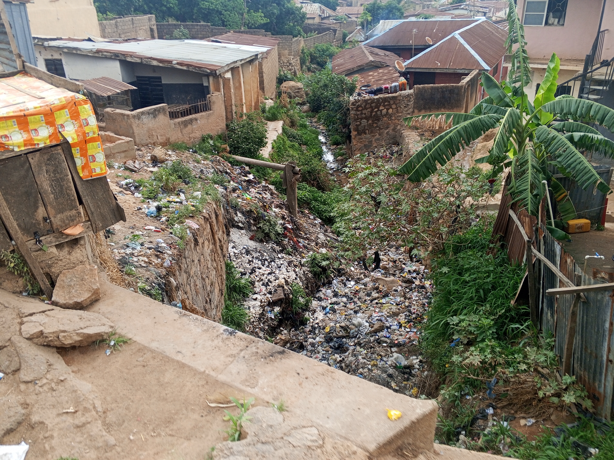 The image depicts an open drainage channel in an urban area of Gwong, Nigeria, heavily polluted with refuse. The channel is situated between buildings, some of which are constructed with mud brick and corrugated metal roofing. Vegetation grows along the edges of the channel, partially obscuring the accumulation of garbage. A concrete retaining wall is visible on the left side of the channel. The scene is viewed from a high angle, suggesting a road or elevated platform overlooking the channel. There are no people visible in the scene. A banana tree stands to the right side of the channel.