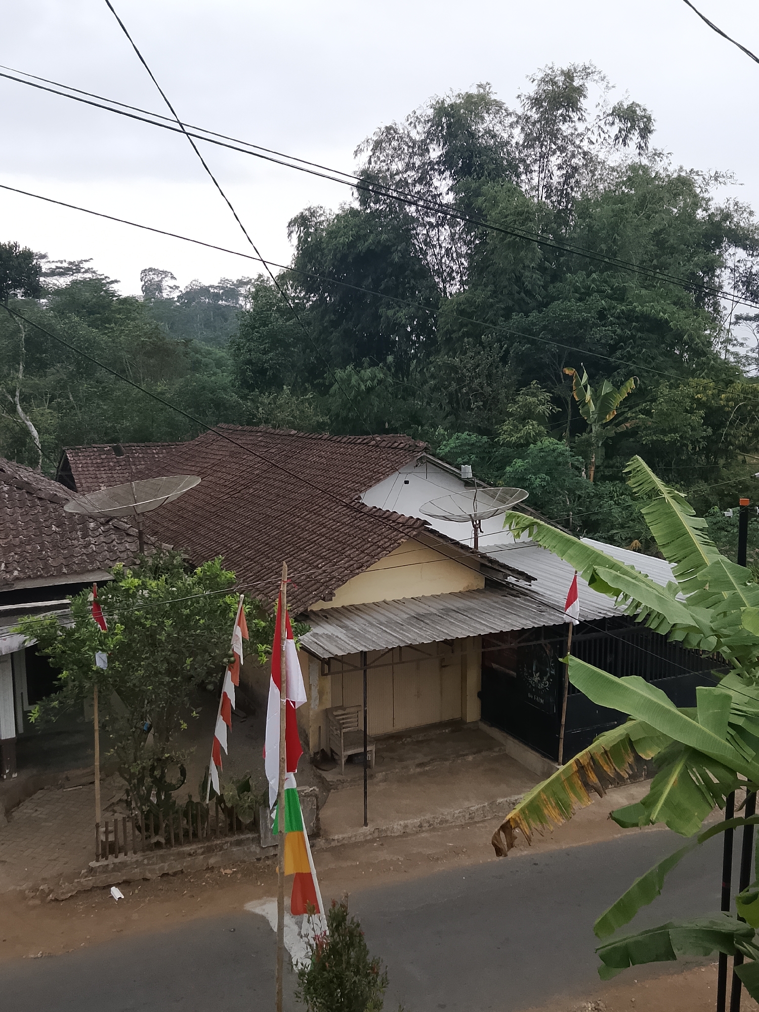 The image captures a view of a street in Betonan, Indonesia, with several houses and lush greenery. In the foreground, a street runs horizontally across the bottom of the frame. To the right, a large banana tree with broad leaves dominates the foreground, obscuring part of the scene. Behind the banana tree, a black metal gate is visible, and a sign with text, possibly "BIG FARM," is affixed to it.

A row of houses lines the street. The house in the center has a brown tile roof and a light-colored wall. In front of this house, there's a covered patio area with a corrugated metal roof. Two satellite dishes are mounted on the roofs of houses to the left and center. Several Indonesian flags, red and white, are displayed on poles in front of the houses.

The background is filled with dense trees and foliage, suggesting a semi-rural or natural setting within the town. The sky is overcast, indicating a cloudy day. The overall scene depicts a typical residential area in Indonesia, characterized by its distinct architecture, tropical vegetation, and the presence of national flags. No people are clearly visible in the image.