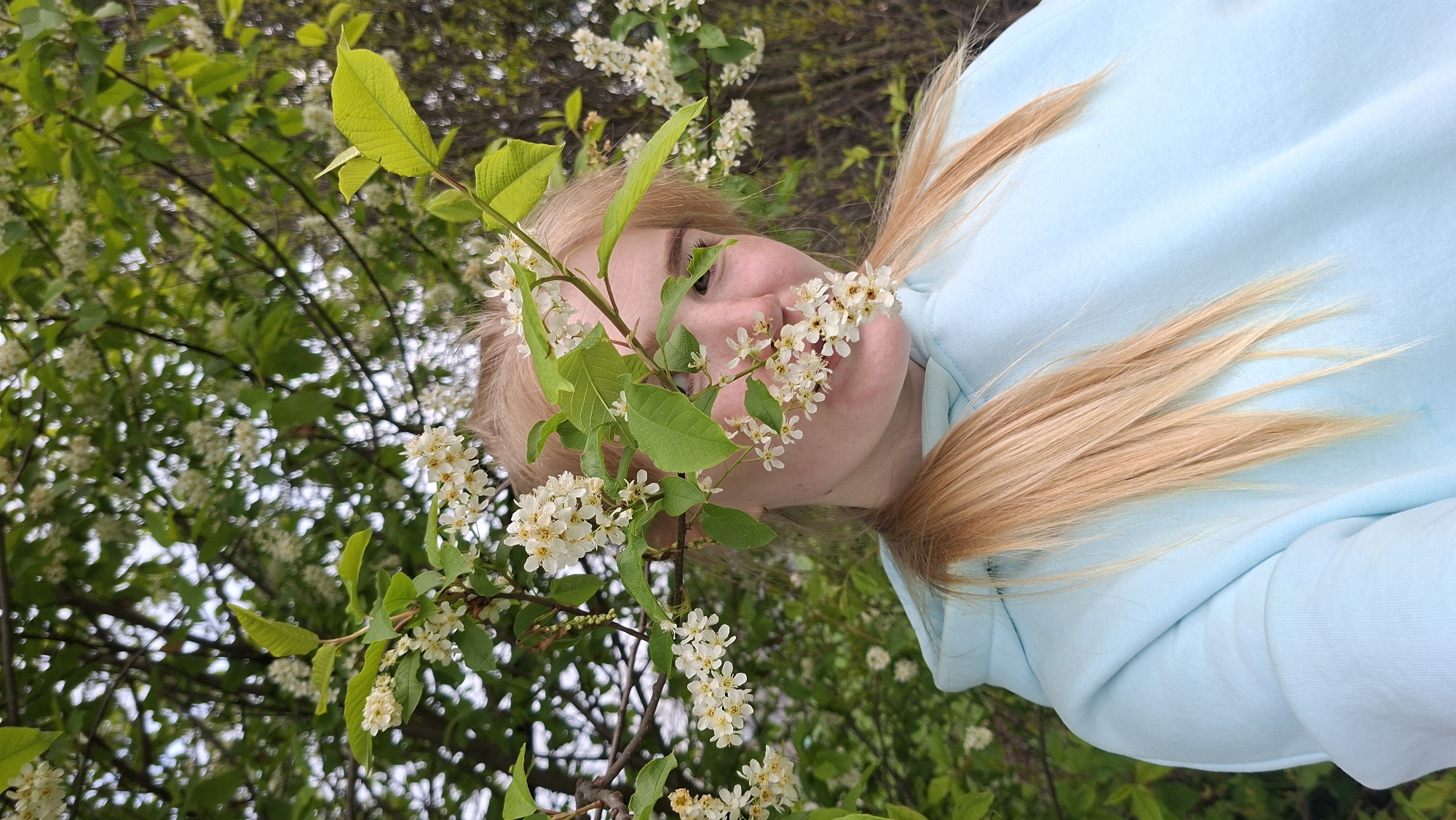 The image shows a young woman with light blonde hair wearing a light blue hoodie. Her head is surrounded by a flowering tree branch with green leaves and small white flowers. The background is filled with more branches and greenery, suggesting an outdoor setting. The image appears to be taken from a low angle, looking up at the woman and the tree. No information from the image can be used to confirm the location of Большой Букор, Russia.