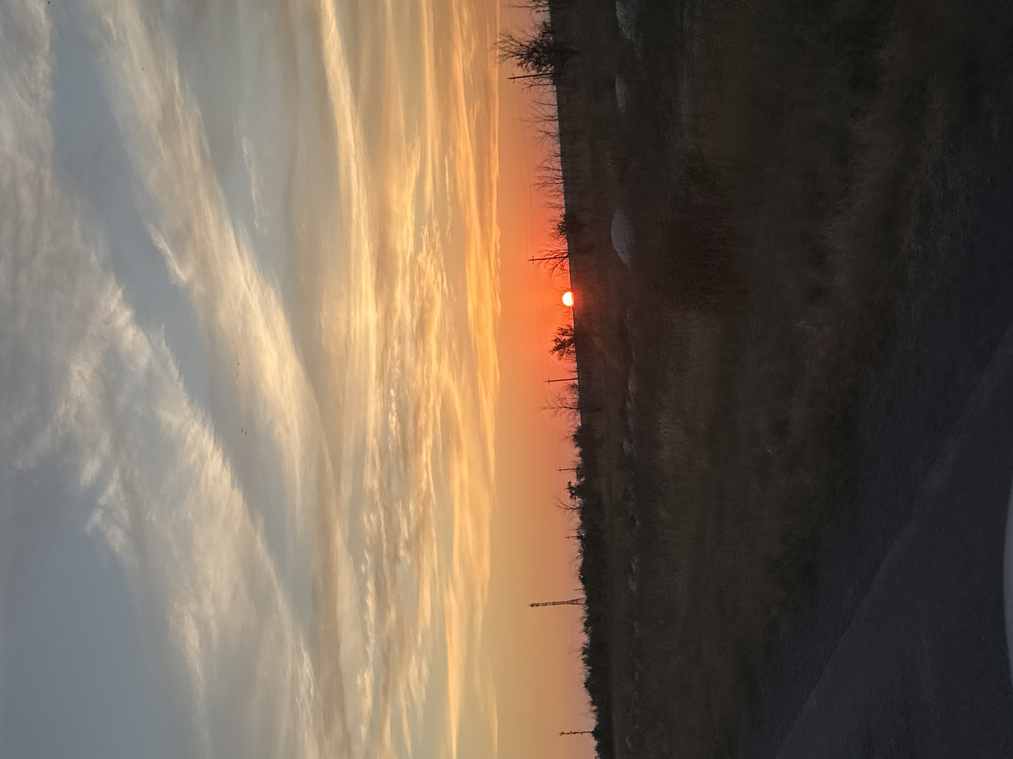 An outdoor, eye-level, vertical, medium shot captures a sunset over a rural landscape. The sky is a gradient of pale blue at the top to vibrant orange and pink near the horizon, streaked with wispy white clouds. The sun, a brilliant orange orb, is partially obscured by the horizon, casting a warm glow. In the mid-ground, silhouetted against the sky, is a line of sparse, bare trees and bushes. Several utility poles with wires are visible, as well as a taller, lattice-style tower. The foreground features a dark, grassy field leading to a paved road on the left side of the frame. The overall scene depicts a serene, natural environment at dusk. The location is identified as Pugachyov Rural District, Kazakhstan. There are no people, animals, or specific actions depicted.