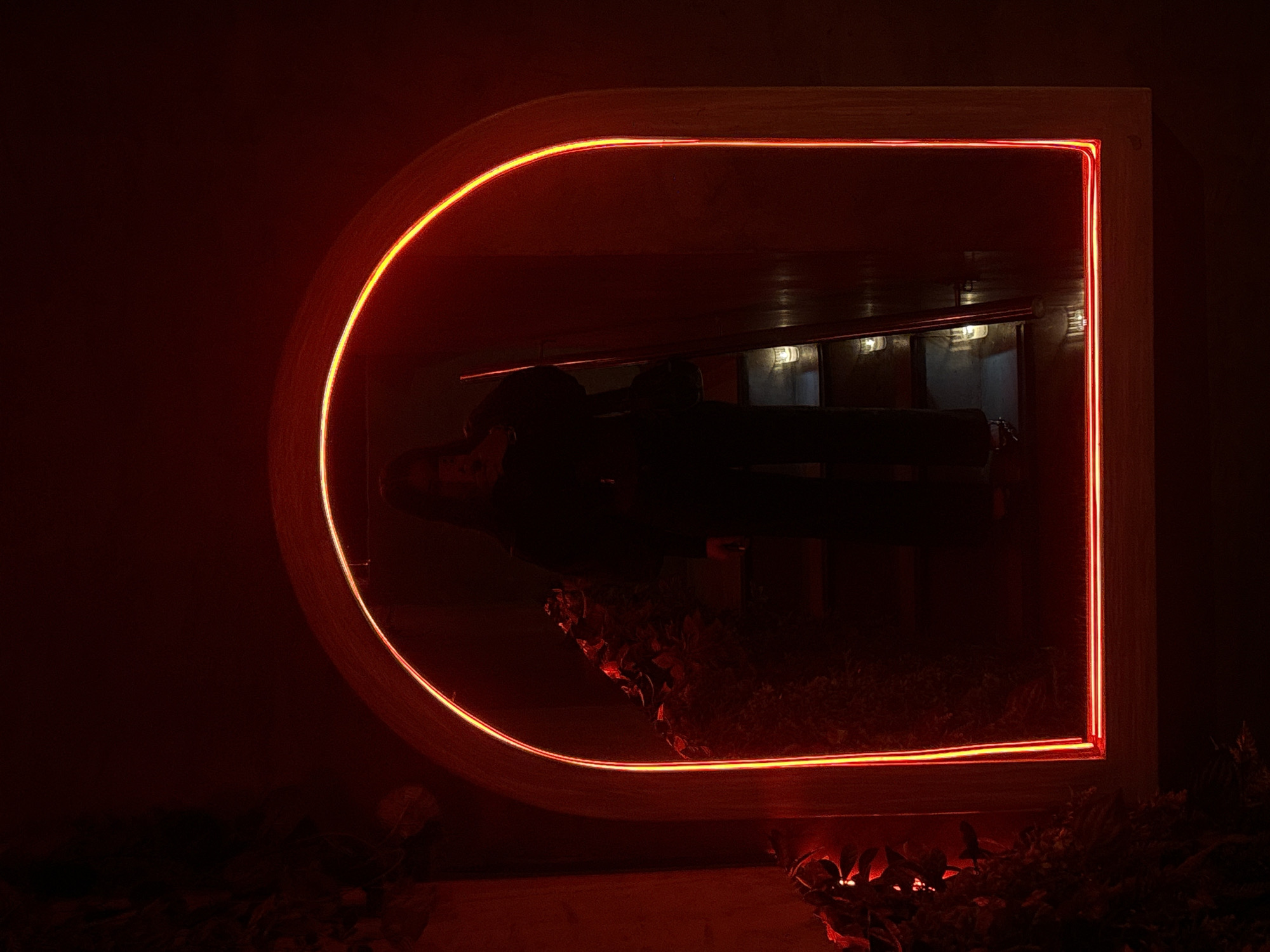 Captured indoors at night in Mexico City, Mexico, a brightly lit red neon light in the shape of a stylized "D" dominates the frame. It is set within a wooden frame and reflects the interior of a building, upside down. Two human figures, their forms obscured in shadow, are visible within the reflection, possibly seated on furniture. Beyond them, lights shine from a window or doorway. At the base of the frame, dark foliage is partially illuminated by the red light, creating a slightly ominous atmosphere. The overall scene is dark, with the red light serving as the focal point.