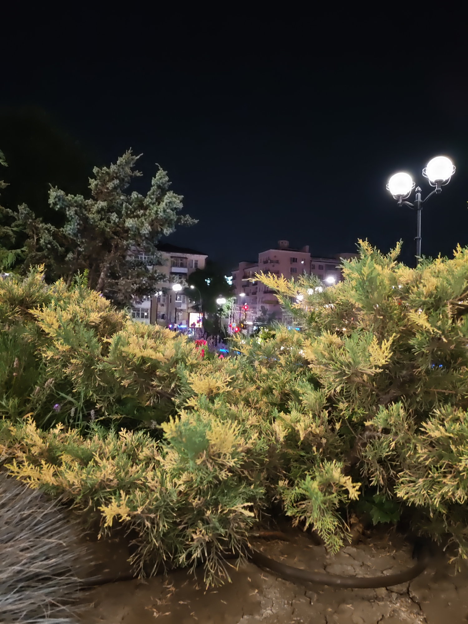 The image depicts a street scene at night in Rostov-on-Don, Russia. In the foreground, there are dense green and yellow bushes, with dry grass to the left. Behind the bushes, a multi-story building with lit windows is visible, along with streetlights. One streetlight with two globes is prominent in the upper right corner. There are also traffic lights and blurred figures of people walking on the street in the middle ground, suggesting an urban environment with pedestrian activity. The sky is dark, indicating it is nighttime.