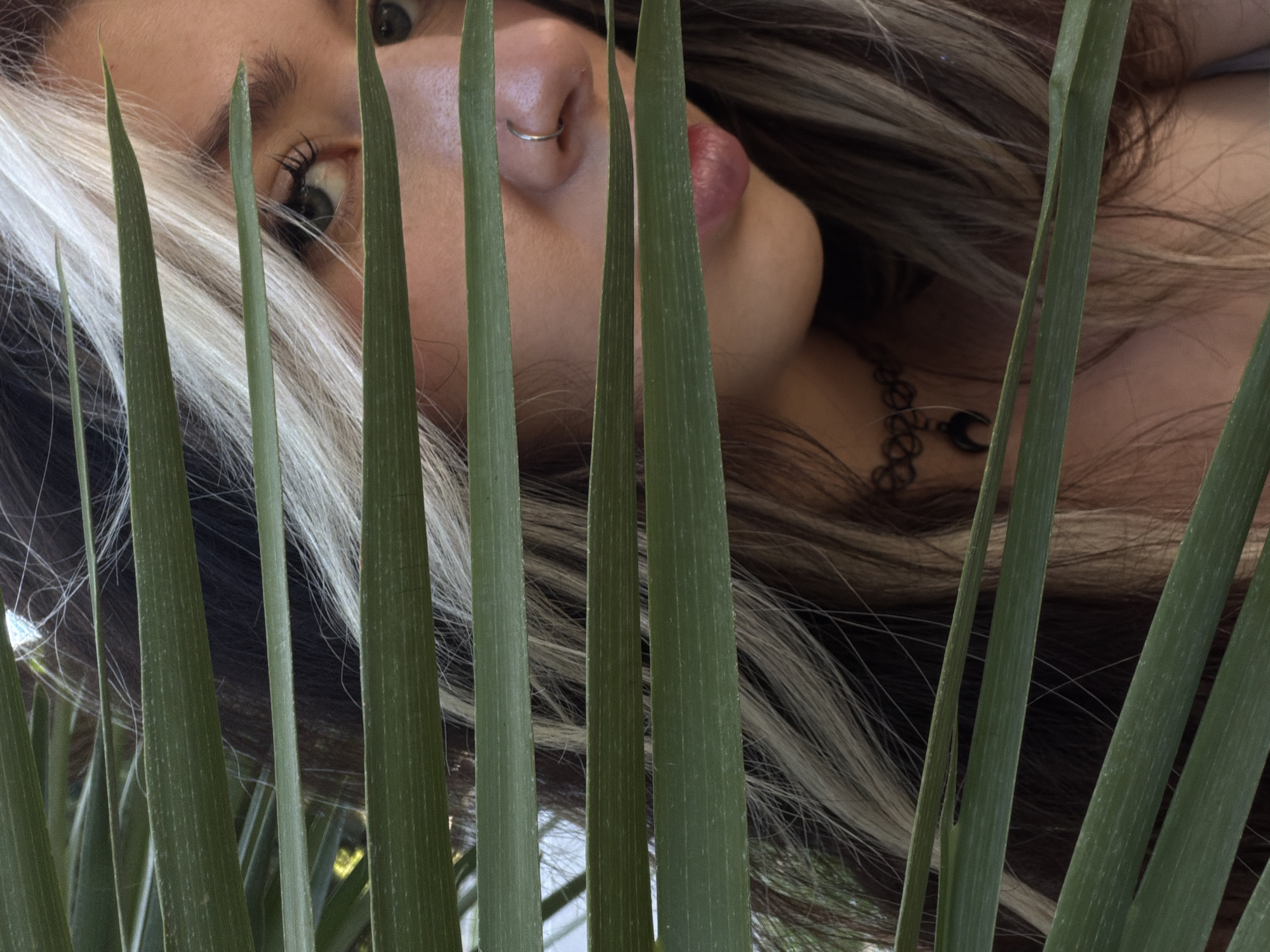 A close-up, low-angle shot features a woman's face partially obscured by long, slender green leaves, possibly palm fronds. Her face is tilted, with one eye clearly visible. She has a silver nose ring. Her hair is highlighted with streaks of white and blonde. Her lips are slightly parted. She has a black choker around her neck.
The location in the city of Bar, Montenegro cannot be determined from the image.
