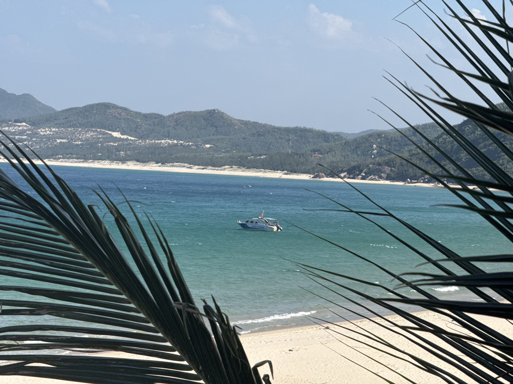 This image depicts a serene coastal scene, framed by the dark, thin leaves of a palm tree in the foreground. A strip of light-colored sand beach runs horizontally across the lower part of the frame, meeting the vibrant turquoise ocean. The water is calm, with small waves gently lapping at the shore. In the middle ground, a white speed boat with a blue stripe is cruising on the water, carrying several passengers. Further in the distance, a range of lush green hills covered in trees stretches across the horizon, under a clear, pale blue sky with a few wispy clouds. The overall impression is one of a tropical paradise, offering a tranquil escape. The scene is an outdoor landscape without any discernible urban elements or specific city landmarks.
