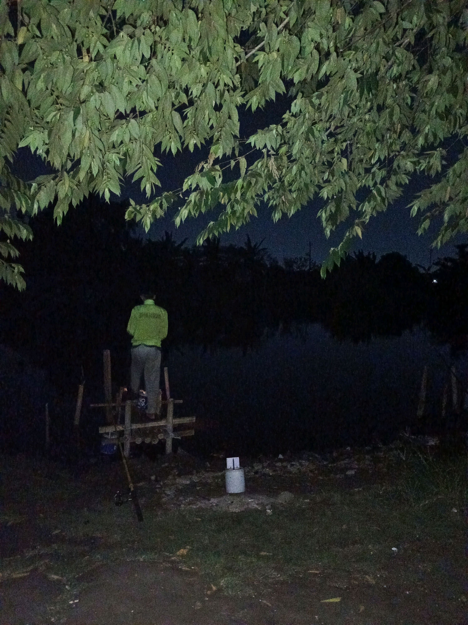 A person stands on a wooden platform by a body of water at night. The person is wearing a bright green jacket and grey pants. A fishing rod lies on the ground in front of the platform. The scene is illuminated by artificial light, casting shadows. The surrounding environment appears to be a rural or semi-rural area, possibly on the outskirts of Tegal, Indonesia, with dense foliage overhead and dark, silhouetted trees in the background. The water reflects the dim light, creating an atmospheric and somewhat mysterious ambiance.