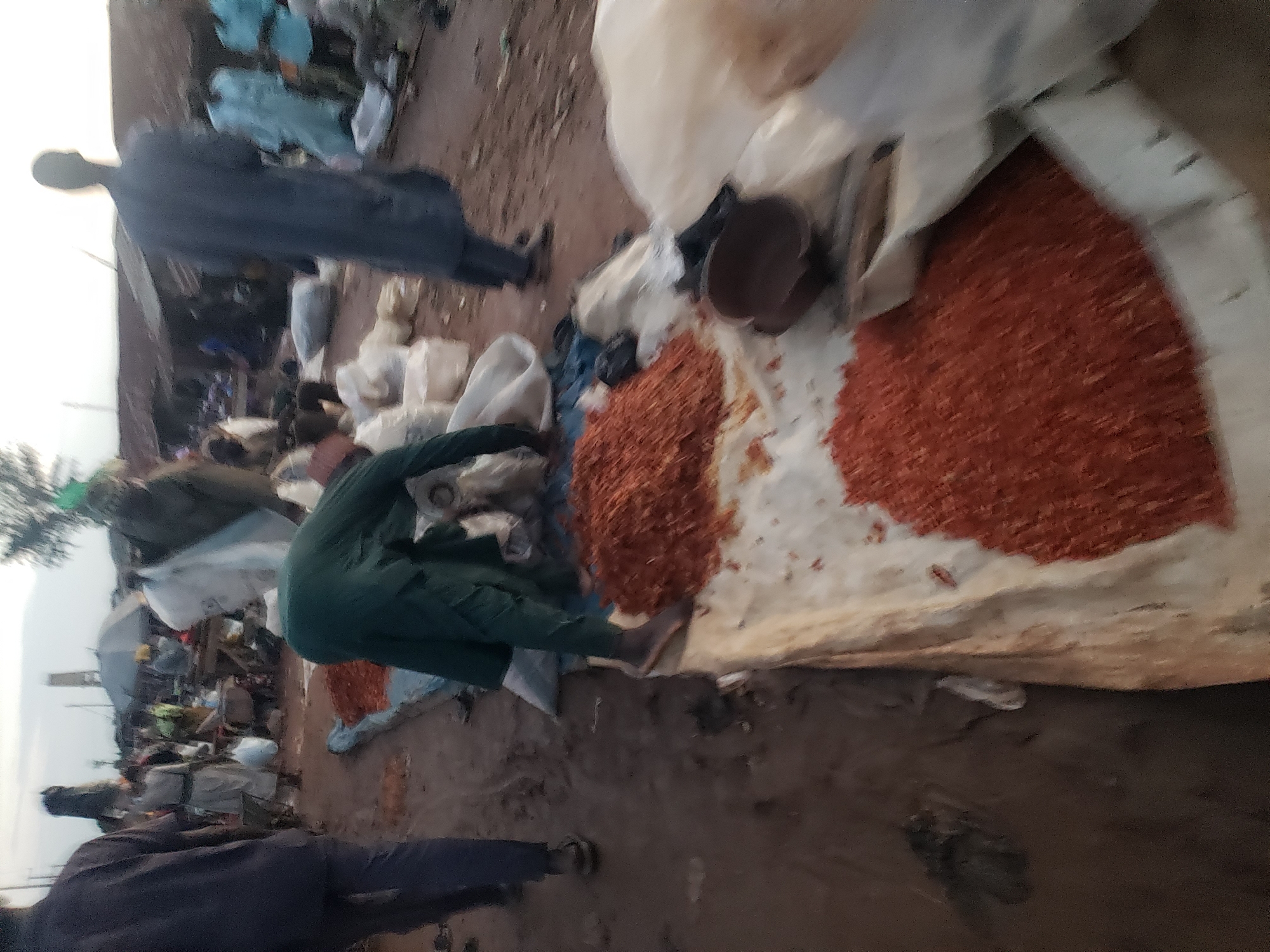 This image depicts a bustling open-air market scene in Kakuri Gwari, Nigeria. The ground is primarily dirt, with some areas showing signs of dust and wear. In the foreground, a vendor, dressed in a green garment, is seen bending over a large display of red, granular material, possibly spices or grains, spread out on a textured, light-colored tarp. Another person, wearing a dark blue robe, stands further back, facing away from the camera, in the middle ground. Numerous other individuals are visible throughout the scene, some carrying items and others engaged in transactions. The background reveals a collection of stalls and makeshift structures, characteristic of a market environment. Several large white sacks are scattered around, some appearing full and others possibly empty. In the distance, faint outlines of buildings and trees suggest the broader urban or semi-urban setting of the market. The lighting indicates it is likely late afternoon or early morning.