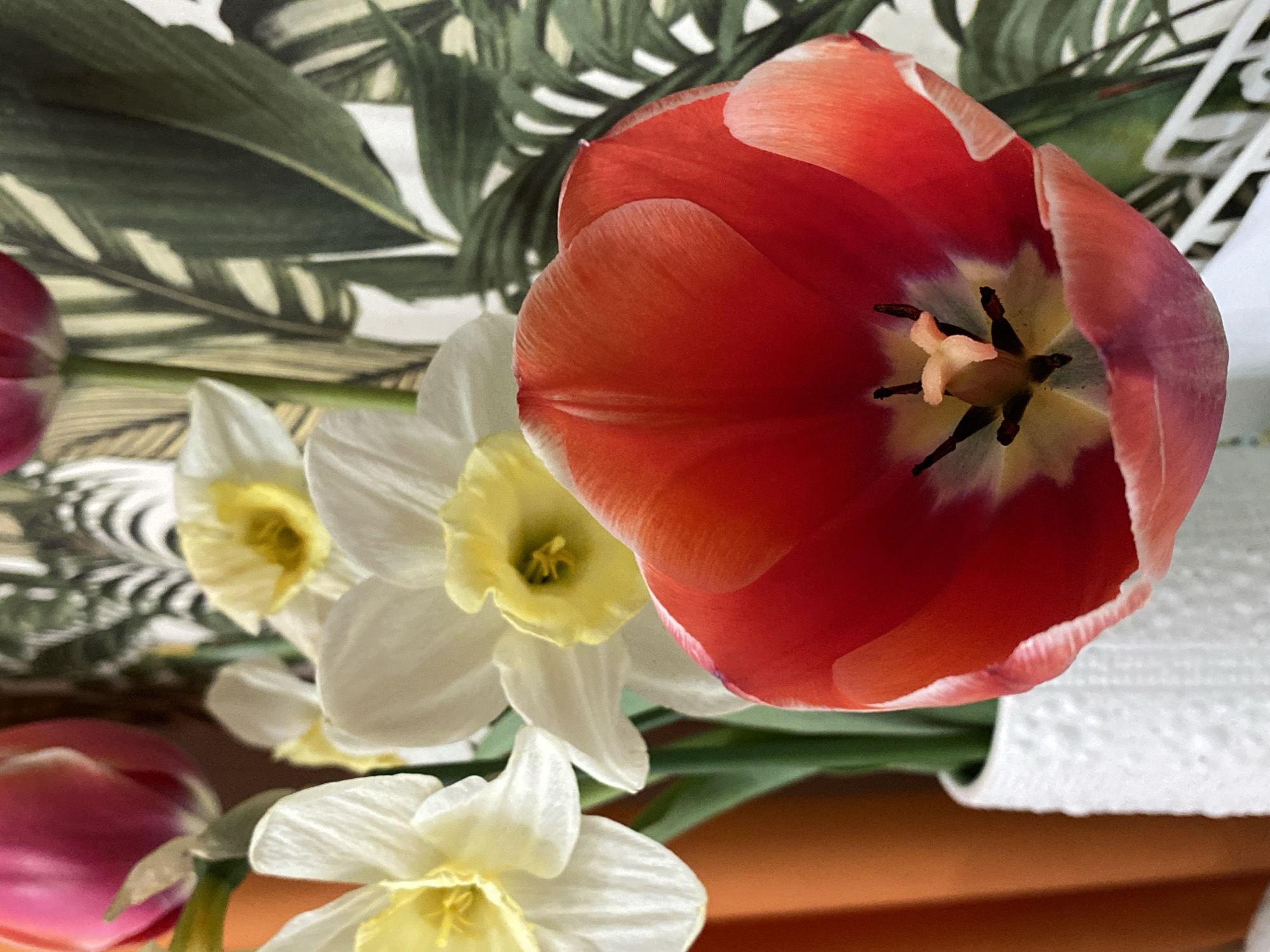 The image shows a close-up of several flowers in a bouquet. A large red tulip with a visible stamen dominates the upper right of the frame. To the left and below the tulip are three white daffodils with yellow centers. A partial view of a reddish-purple tulip is visible on the lower left and another one at the left of the frame. The background is a mix of green and white leaf patterns. The surface below the bouquet appears to be orange. There is no information to suggest the location of this image is in Votkinsk, Russia.