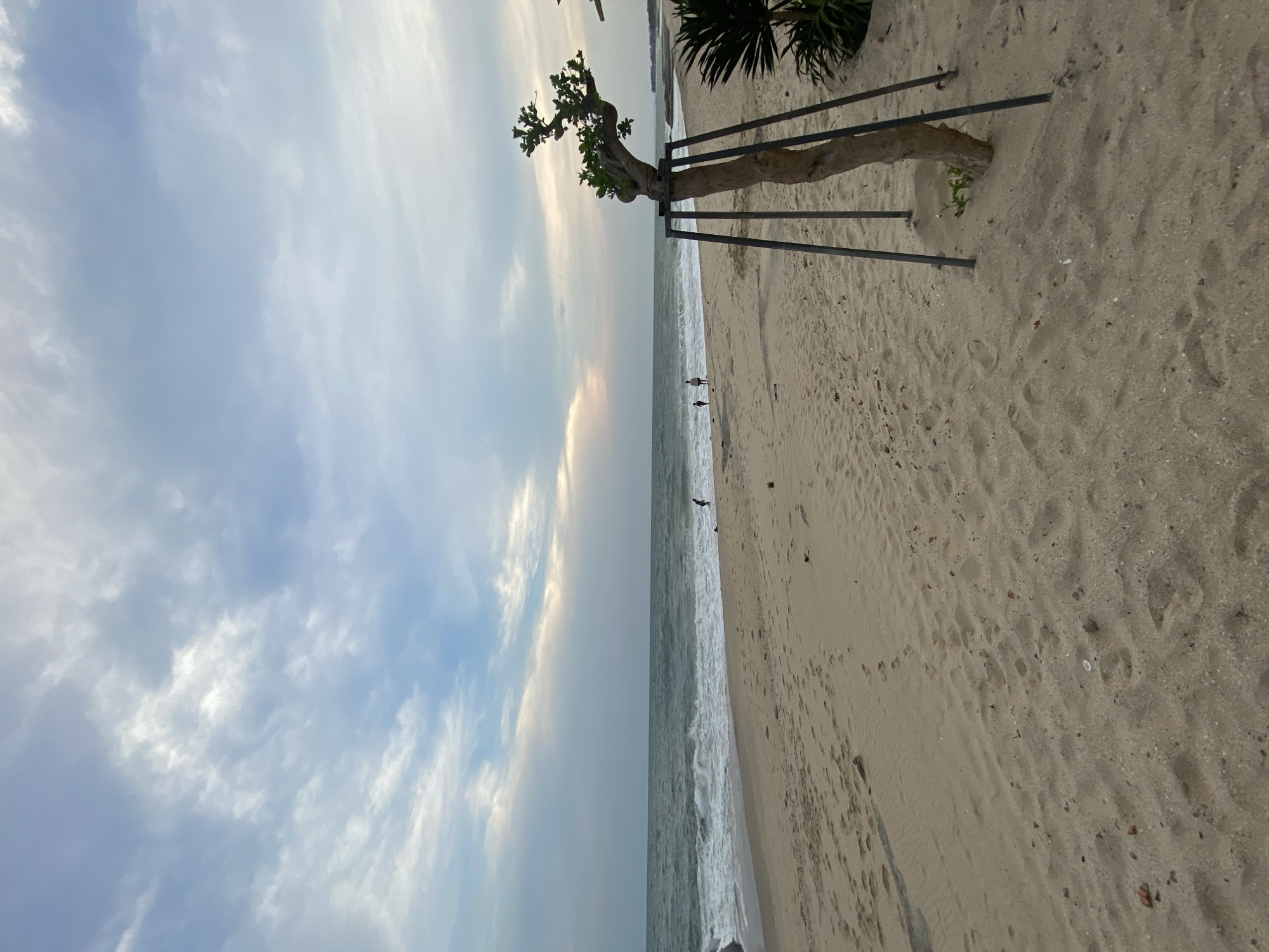 The image shows a beach scene in Phu Thuy Ward, Vietnam. The photograph is oriented sideways. A sandy beach occupies the right portion of the image, and a body of water, presumably the ocean, is on the left. Waves are visible along the shoreline. A tree, supported by metal poles, stands near the beach's edge, partially obstructing the view. A few indistinct figures appear as small silhouettes in the distance, near the waterline. The sky is overcast with a mix of clouds and some hints of sunlight filtering through.