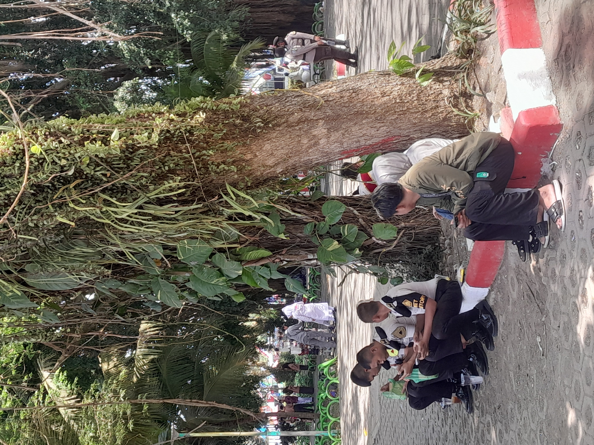 In a park-like setting in Genteng Kulon, Indonesia, several individuals are seen relaxing and using their mobile phones. The foreground features four young men in what appear to be uniforms, possibly security or cadets, seated on a red and white curb. They are all looking down at their phones, with drinks in clear plastic cups placed beside them. To the right, another person, also in civilian clothing, is seated on the curb and engrossed in their phone. In the background, a large tree with extensive vines dominates the center of the frame. Further in the background, other people are visible, including two individuals in white attire and two in uniform, suggesting a public space with various activities. The environment is characterized by lush greenery from trees and hanging vines, with paved ground in the foreground.