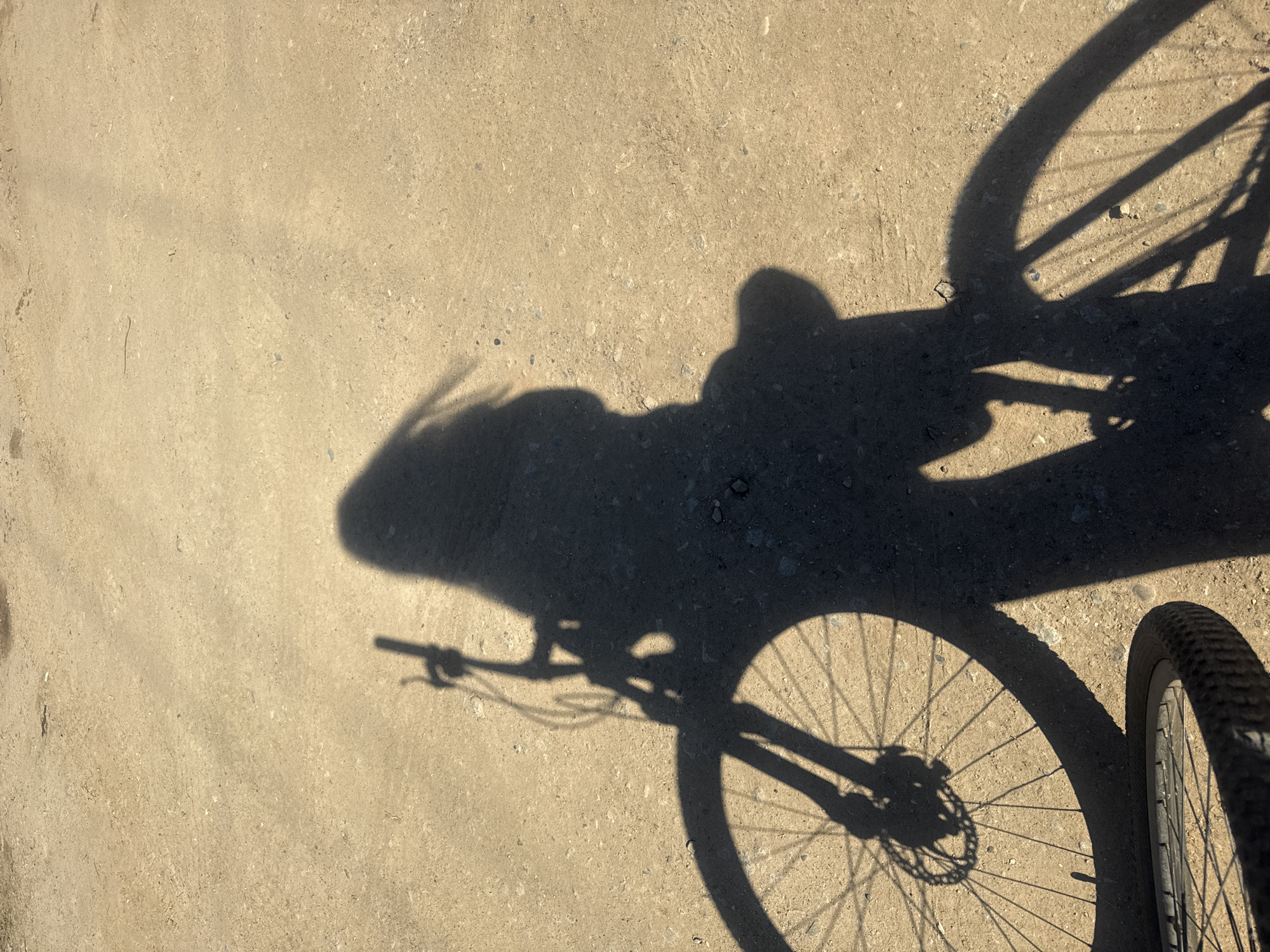 An overhead photograph captures the distinct shadow of a person riding a bicycle on a light-colored, unpaved surface, likely a dirt or gravel path. The strong, elongated shadows indicate a low sun angle, suggesting either early morning or late afternoon. The sun is positioned behind the cyclist, casting their entire form forward onto the ground.
The shadow clearly outlines the shape of a person seated on a mountain bike, with discernible handlebars, the frame, and both wheels. The intricate details of the wheel spokes and a disc brake rotor are sharply visible within the shadows. On the far right side of the image, a portion of the actual rear wheel with its knobby tire is seen, contrasting with the purely shadowed elements. The ground texture suggests a dry, dusty, or sandy environment, characteristic of outdoor trails. The clear and defined nature of the shadows points to bright, sunny weather.
The image depicts an individual engaged in cycling, with the perspective taken from slightly above and behind the rider. No visible text is present in the scene. The setting implies an outdoor recreational activity, possibly in the region of Кемуль, Russia.