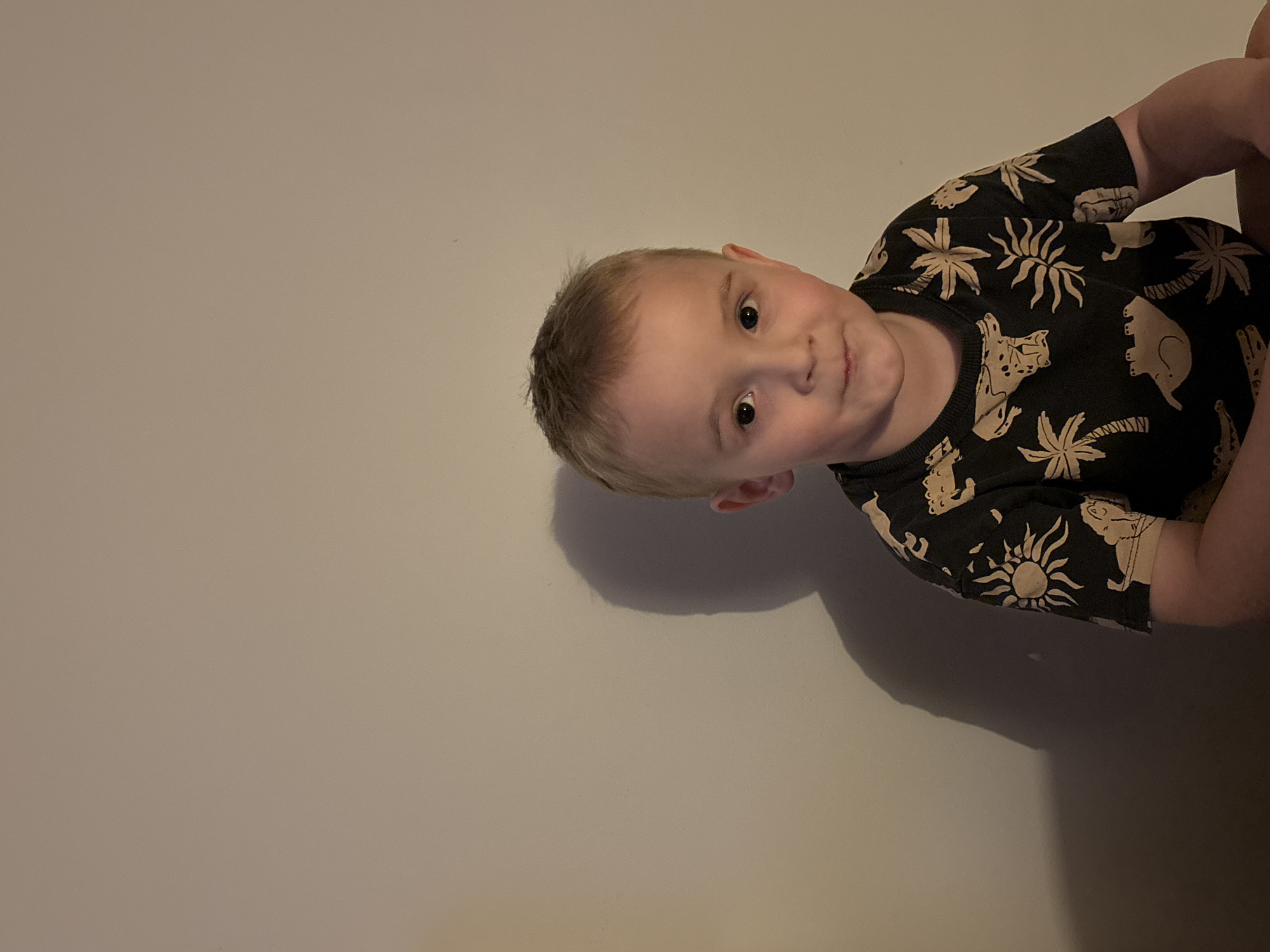 A close-up, portrait-oriented shot shows a young boy with blonde hair and fair skin. He is looking directly at the camera with a slight smile. He's wearing a black short-sleeved t-shirt patterned with light tan-colored animals and plants. The background is a plain, light beige or off-white wall. The photograph appears to be taken indoors with artificial lighting. There is no clear indication that the image was taken in Chaikovsky, Russia.